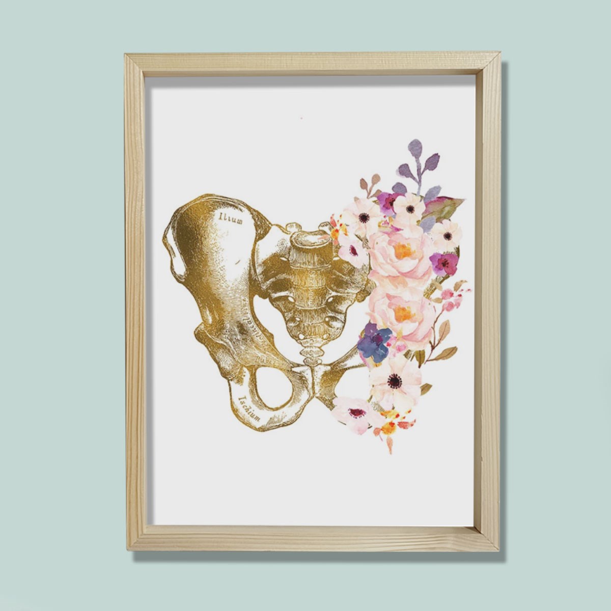 Pelvis Sanatı, Anatomik Baskı, Medikal Anatomi Sanatı Doktor Odası Duvar Tablosu