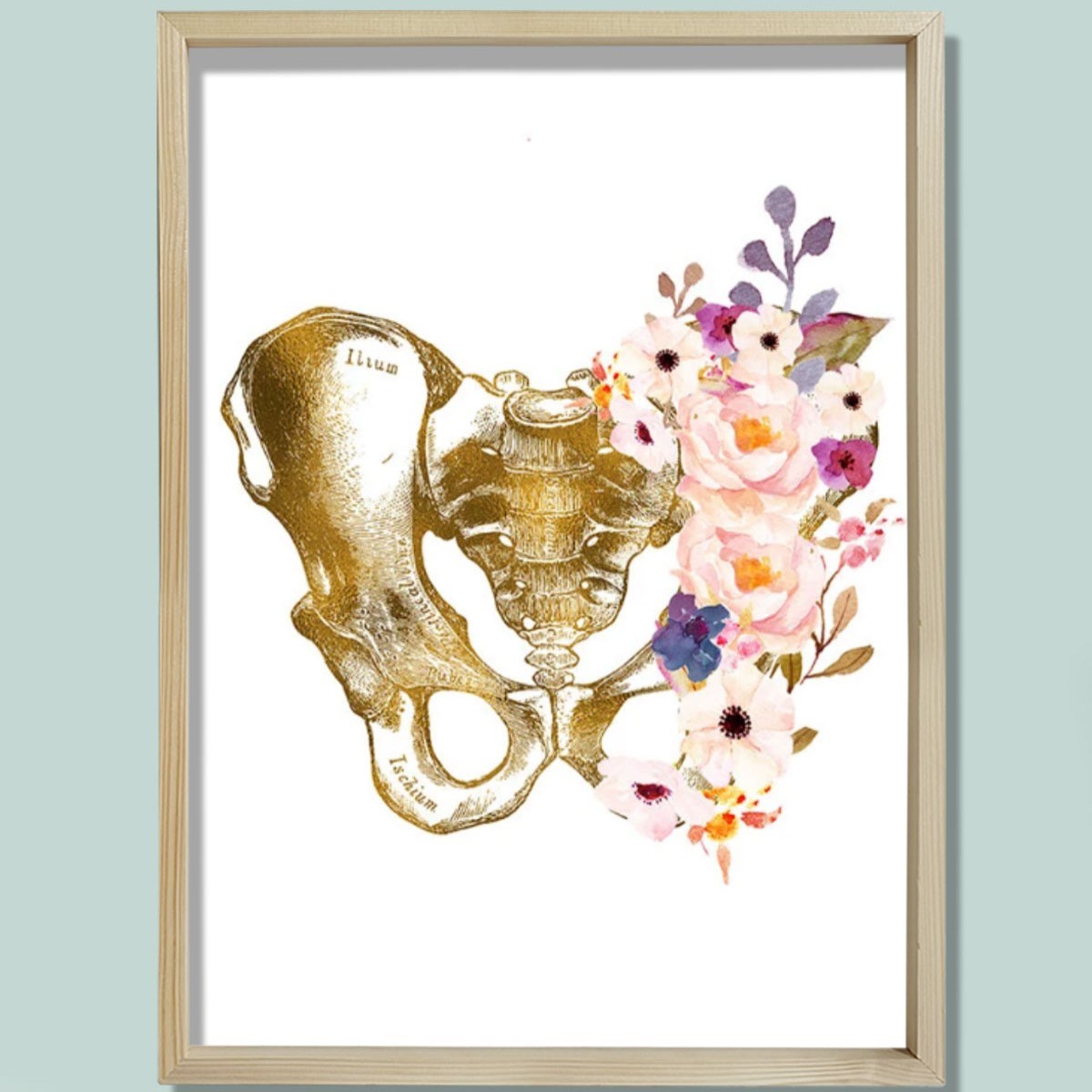 Pelvis Sanatı, Anatomik Baskı, Medikal Anatomi Sanatı Doktor Odası Duvar Tablosu