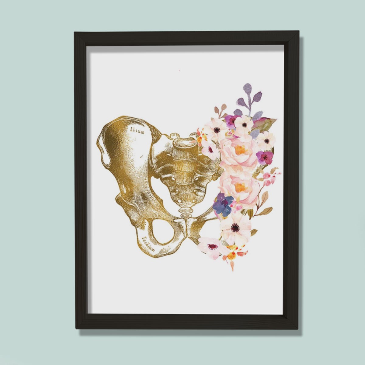 Pelvis Sanatı, Anatomik Baskı, Medikal Anatomi Sanatı Doktor Odası Duvar Tablosu