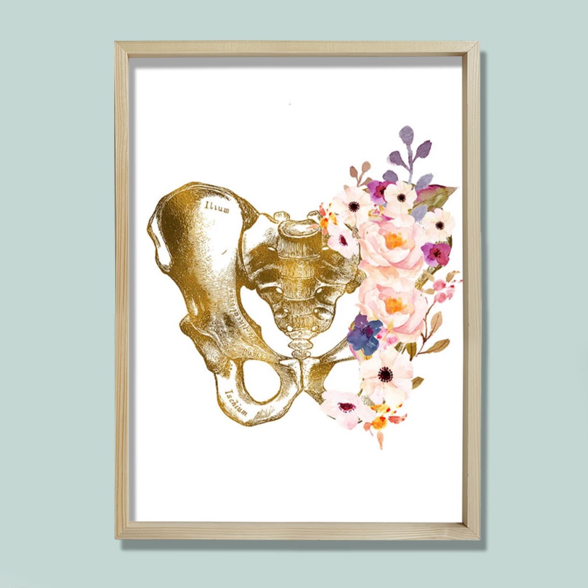 Pelvis Sanatı, Anatomik Baskı, Medikal Anatomi Sanatı Doktor Odası Duvar Tablosu