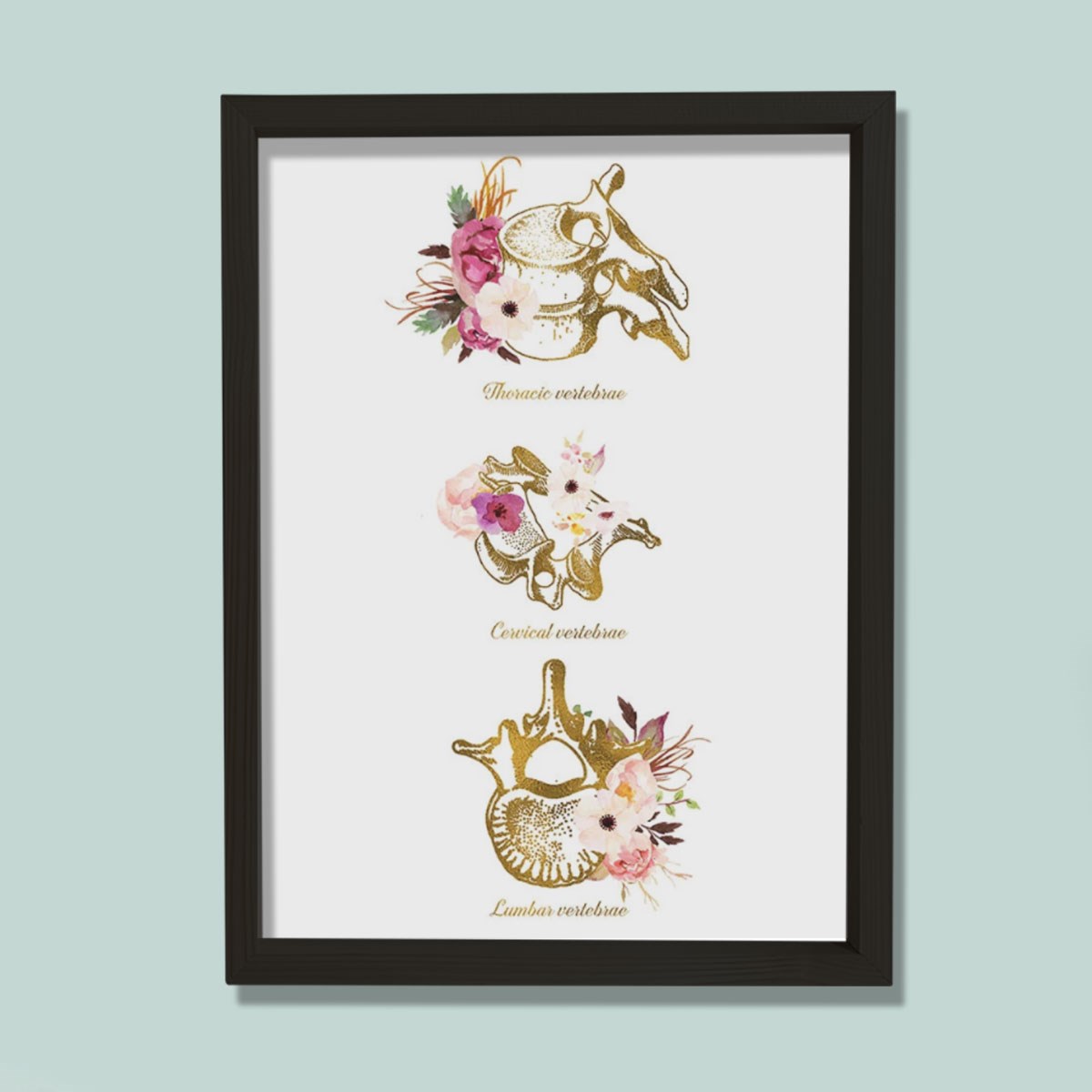 Vertebra Anatomi Sanatı, Servikal, Torasik, Lomber, Kayropraktik Ofis Dekoru