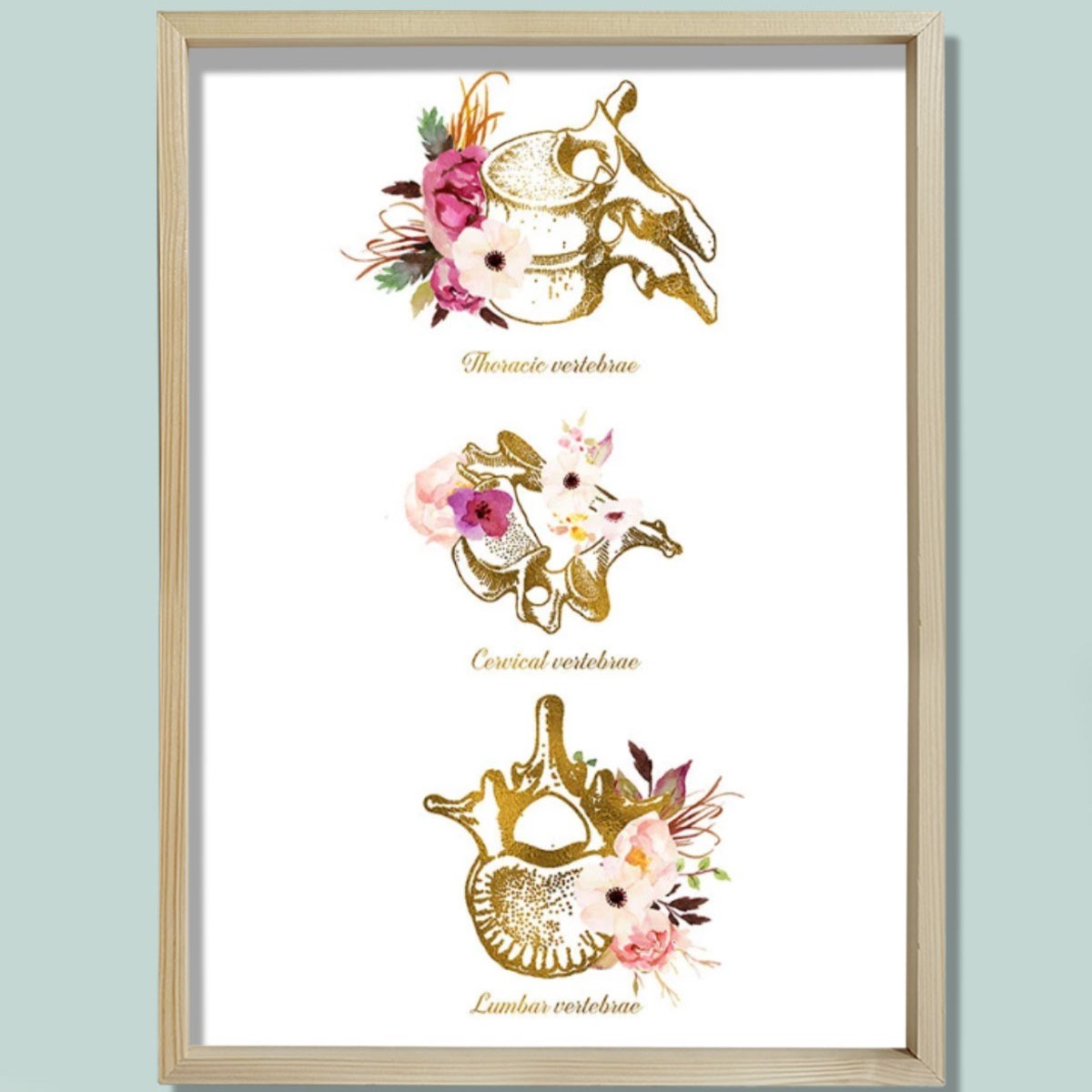 Vertebra Anatomi Sanatı, Servikal, Torasik, Lomber, Kayropraktik Ofis Dekoru