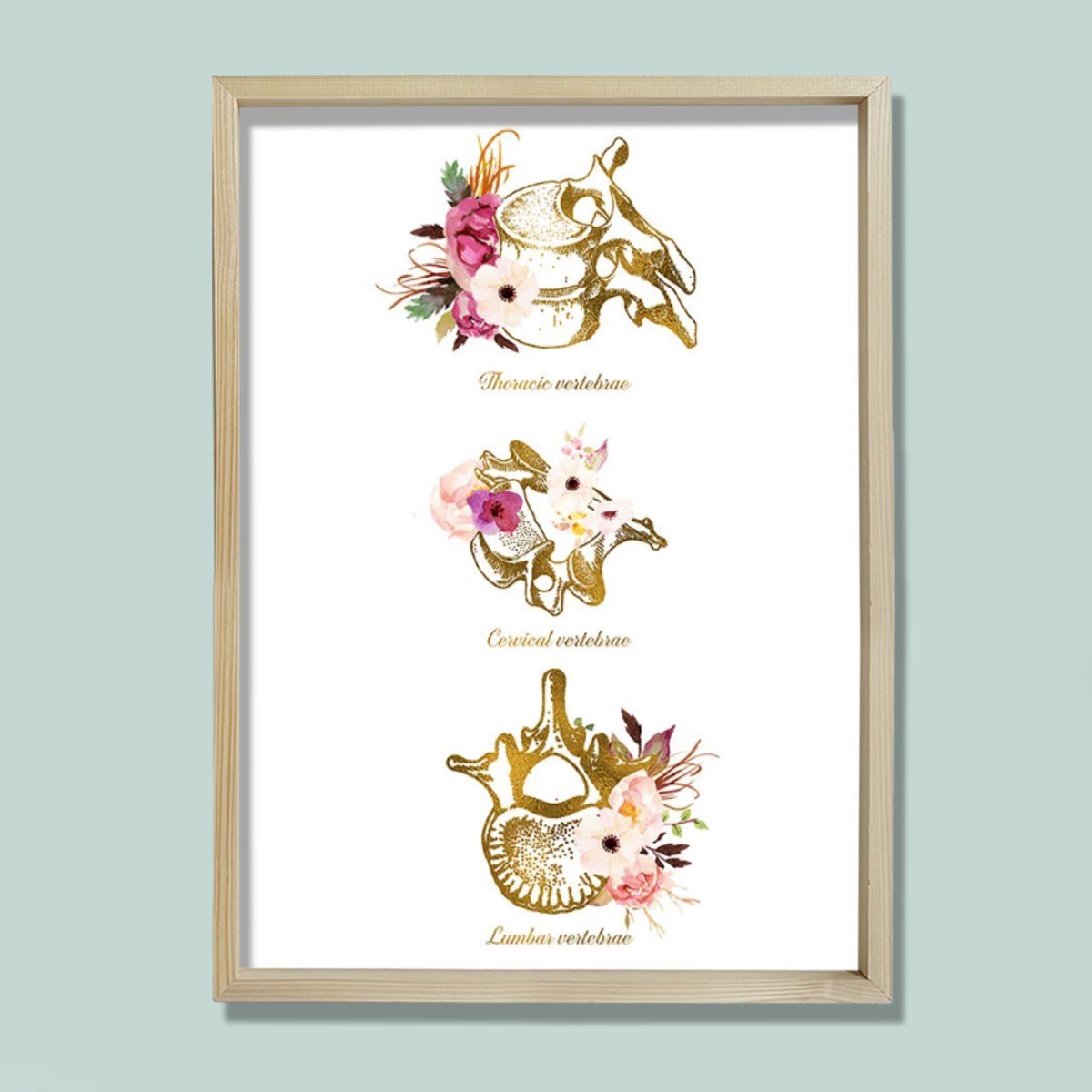 Vertebra Anatomi Sanatı, Servikal, Torasik, Lomber, Kayropraktik Ofis Dekoru