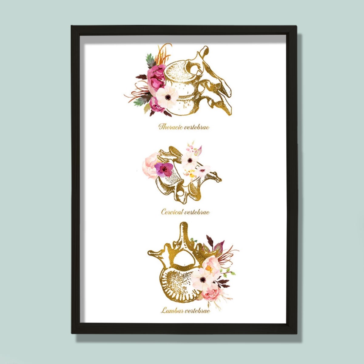 Vertebra Anatomi Sanatı, Servikal, Torasik, Lomber, Kayropraktik Ofis Dekoru