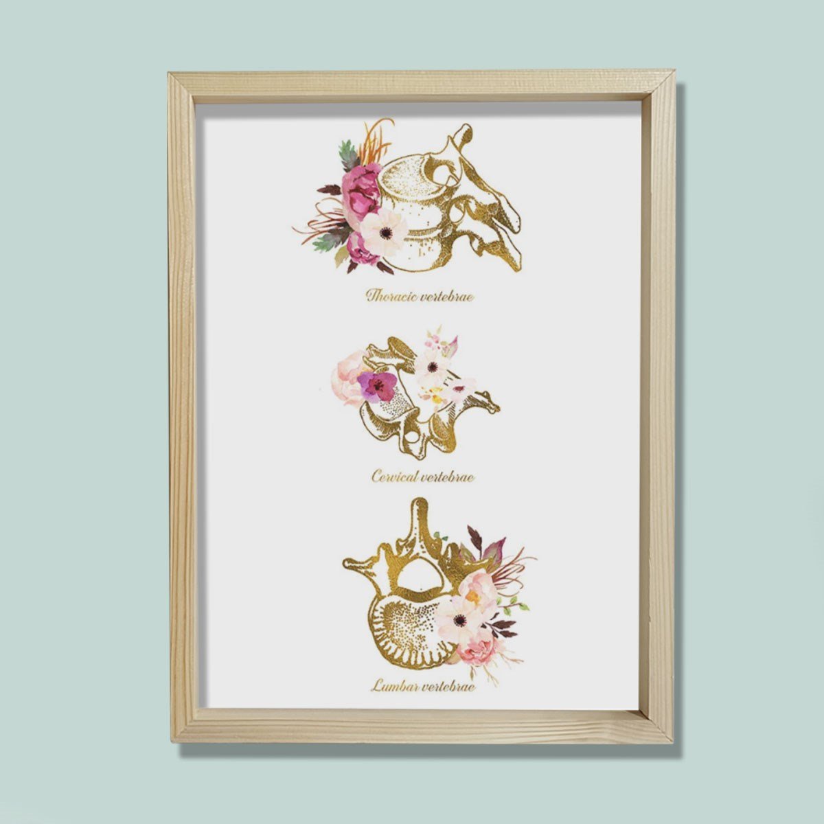 Vertebra Anatomi Sanatı, Servikal, Torasik, Lomber, Kayropraktik Ofis Dekoru