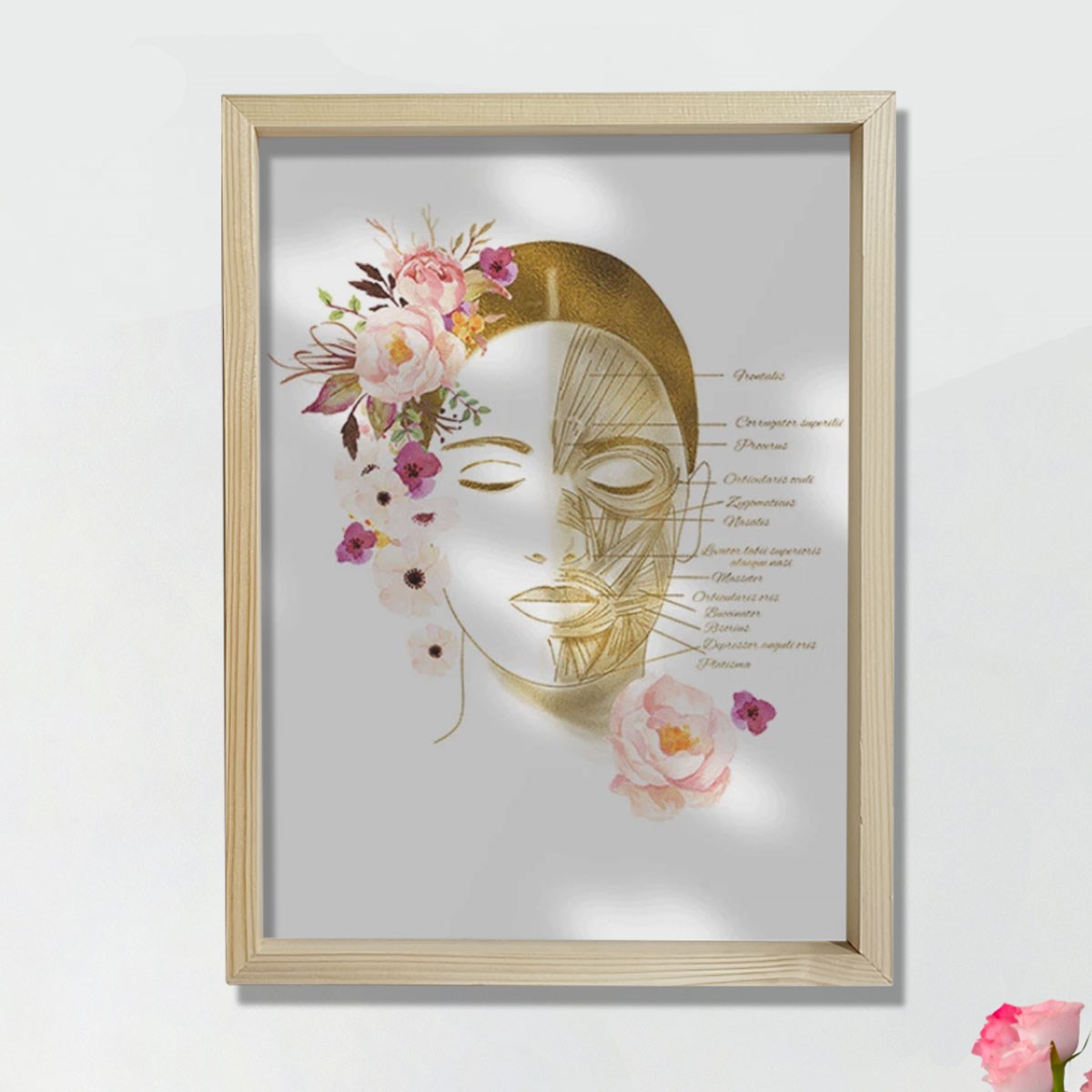 Yüz Kasları Sanatsal Baskı, Botoks Sanatı, Plastik Cerrahi Sanatı, Estetisyen Ofis Dekoru