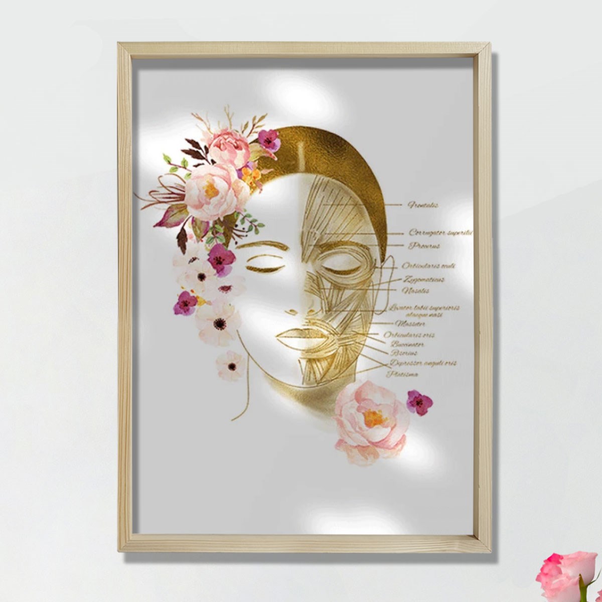 Yüz Kasları Sanatsal Baskı, Botoks Sanatı, Plastik Cerrahi Sanatı, Estetisyen Ofis Dekoru