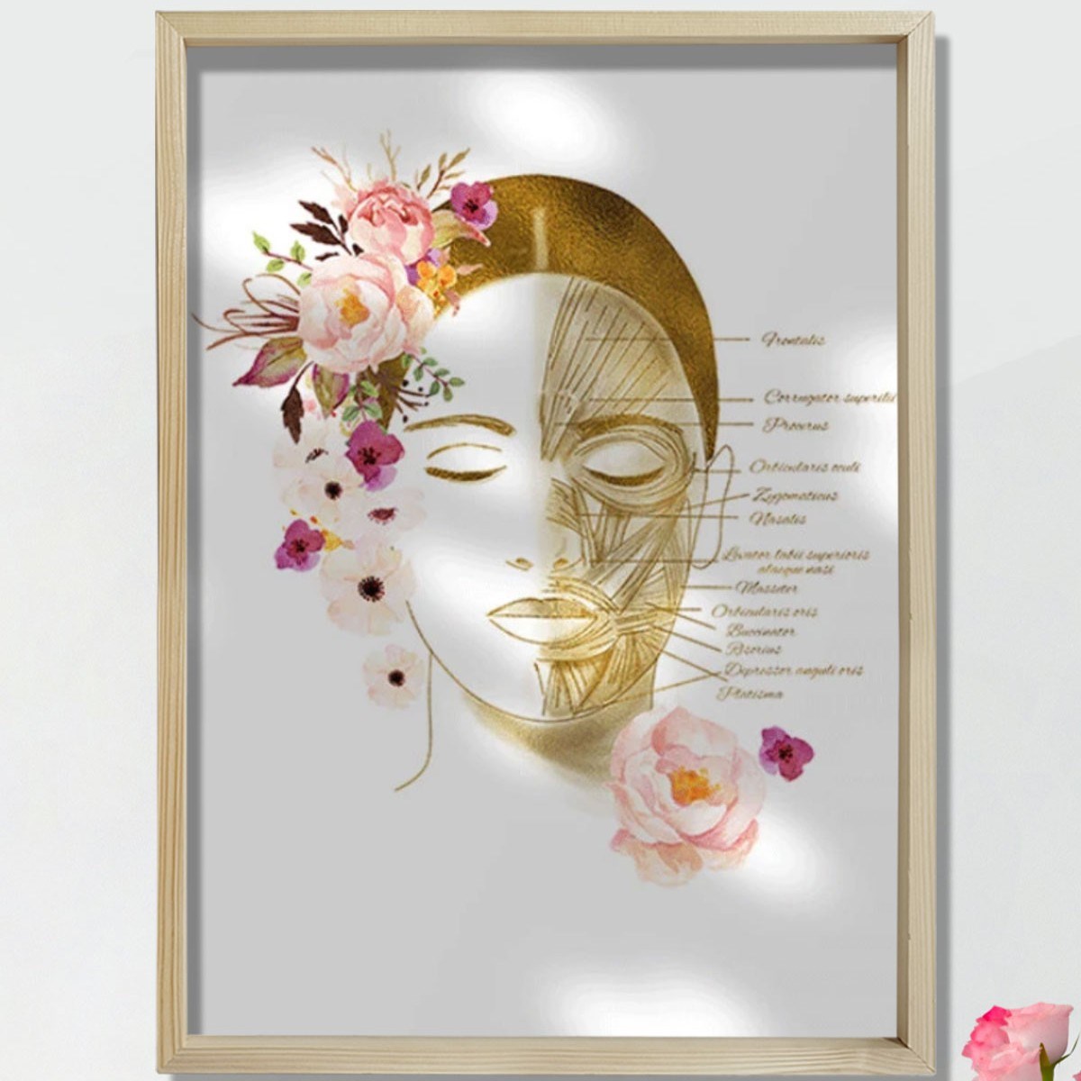 Yüz Kasları Sanatsal Baskı, Botoks Sanatı, Plastik Cerrahi Sanatı, Estetisyen Ofis Dekoru