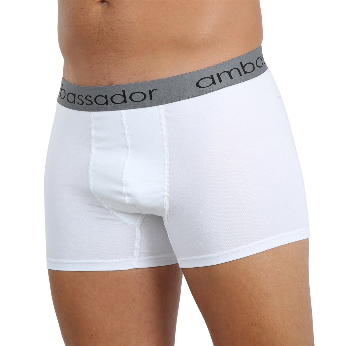 Akbeniz Erkek Likralı Boxer 40053