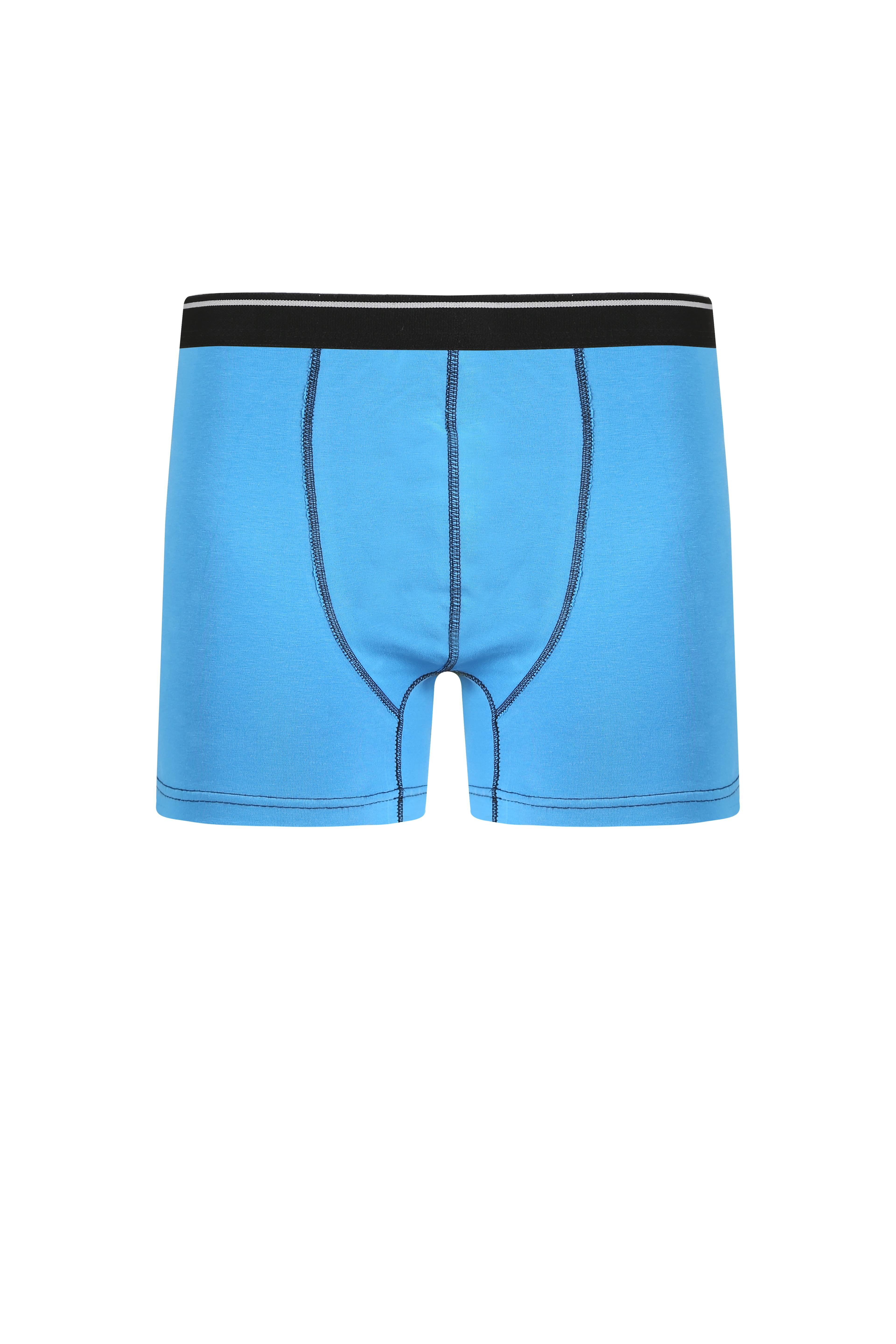 Akbeniz Erkek Pamuk Likralı Boxer Mavi 40133