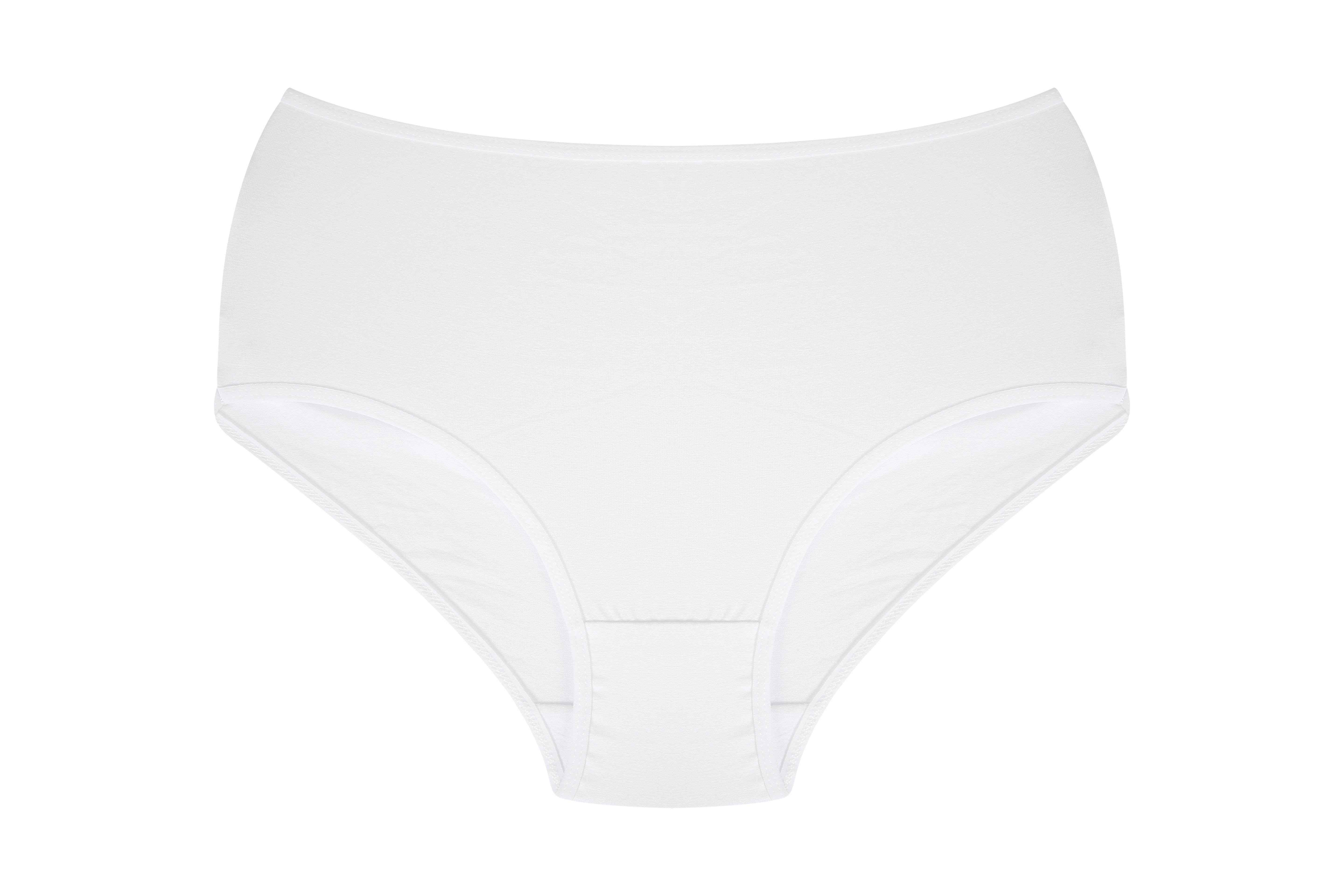 Akbeniz Kadın Büyük Beden Külot Beyaz 40264