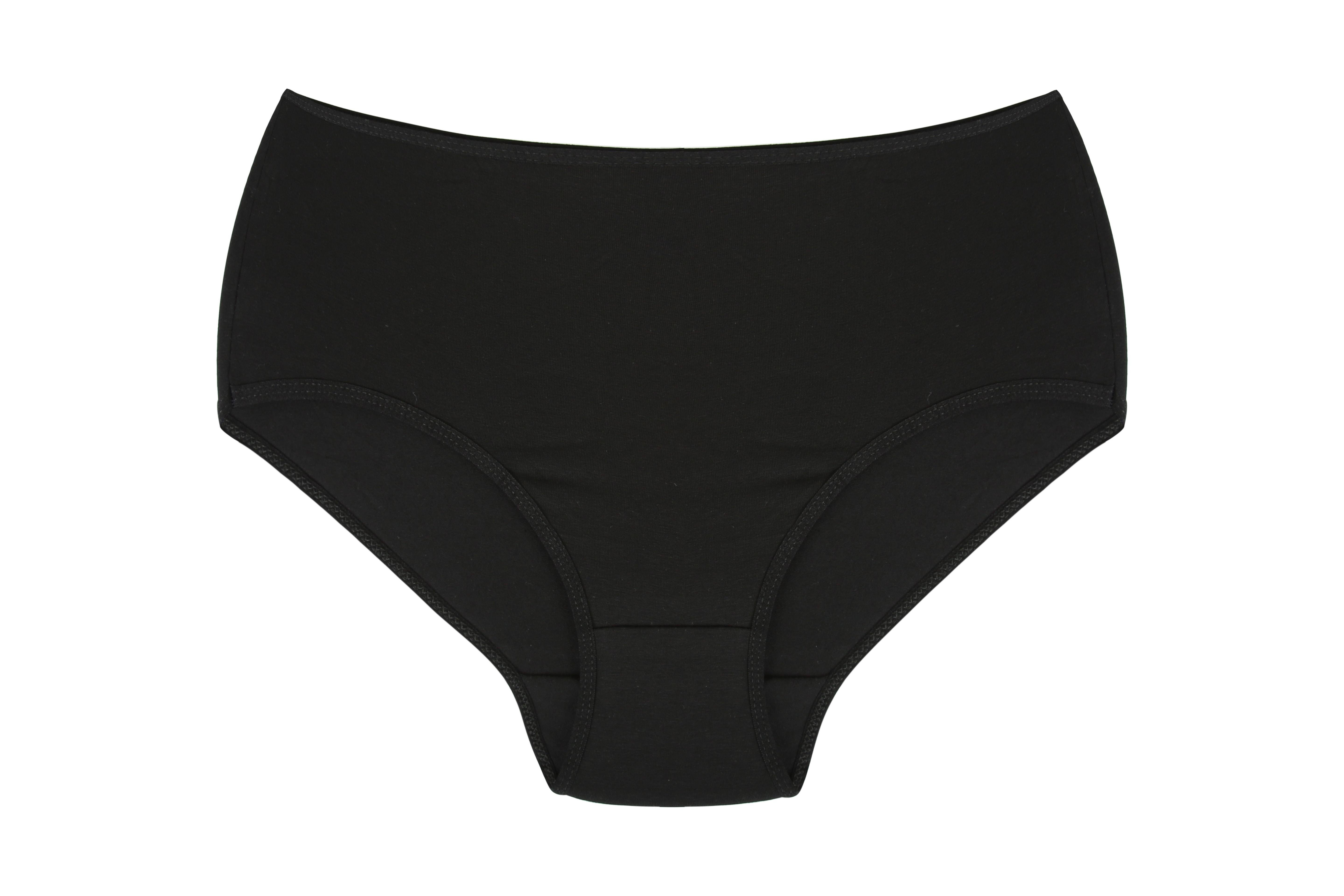 Akbeniz Kadın Büyük Beden Külot Siyah 40264