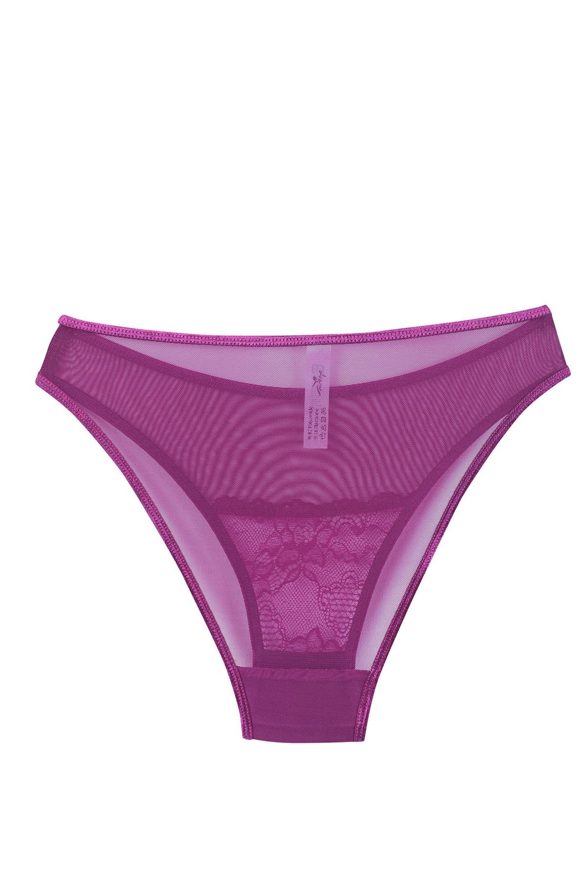 Akbeniz Kadın Mor Dantel Detaylı Transparan 2’li Slip