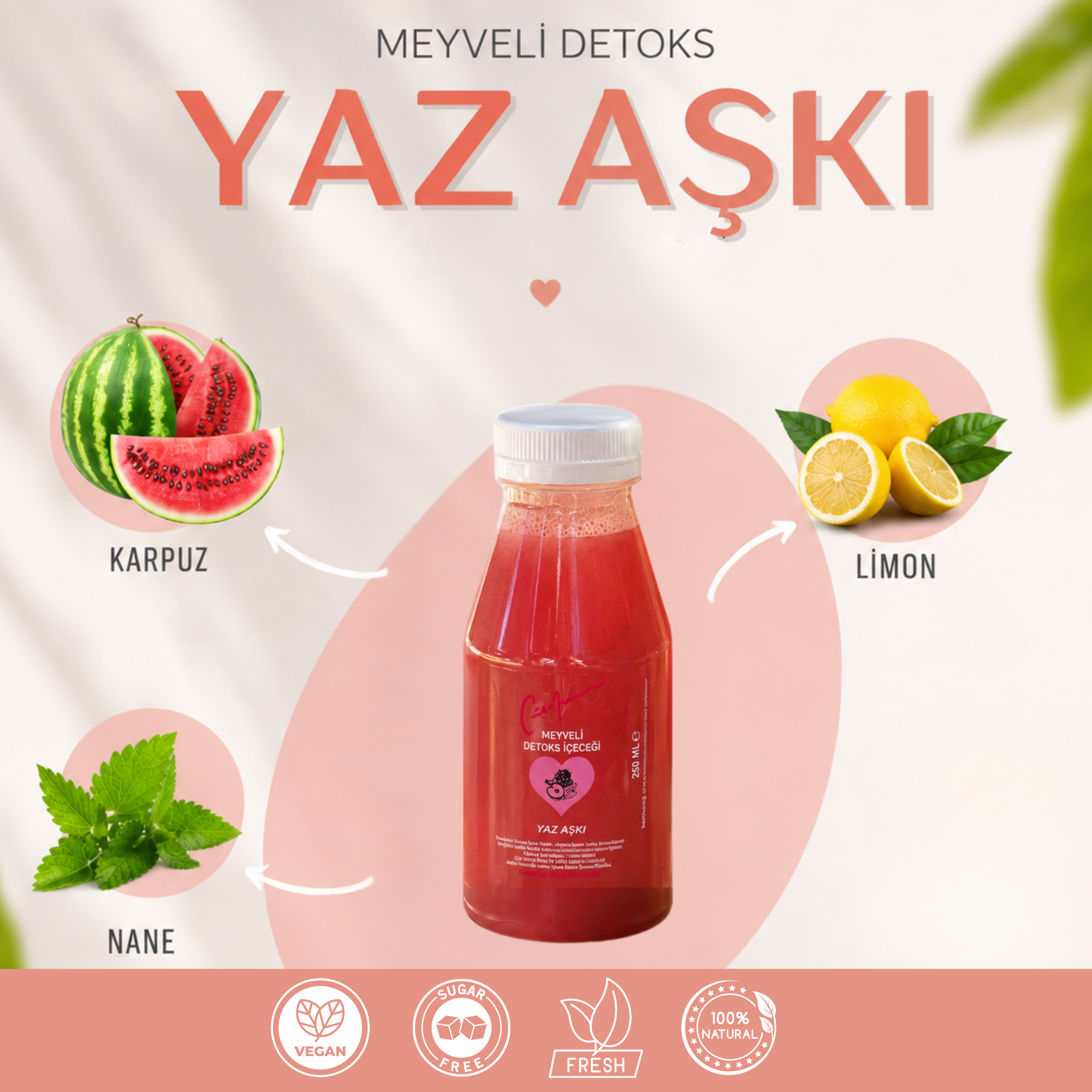 Yaz Aşkı