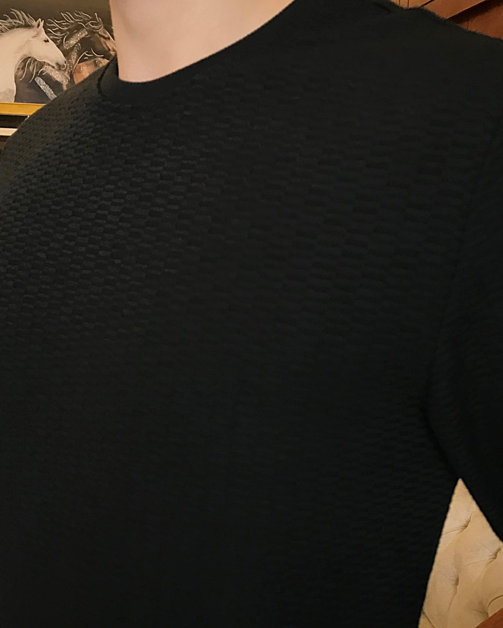 İtalyan stil slim fit bisiklet yaka desenli sweatshirt siyah T7117