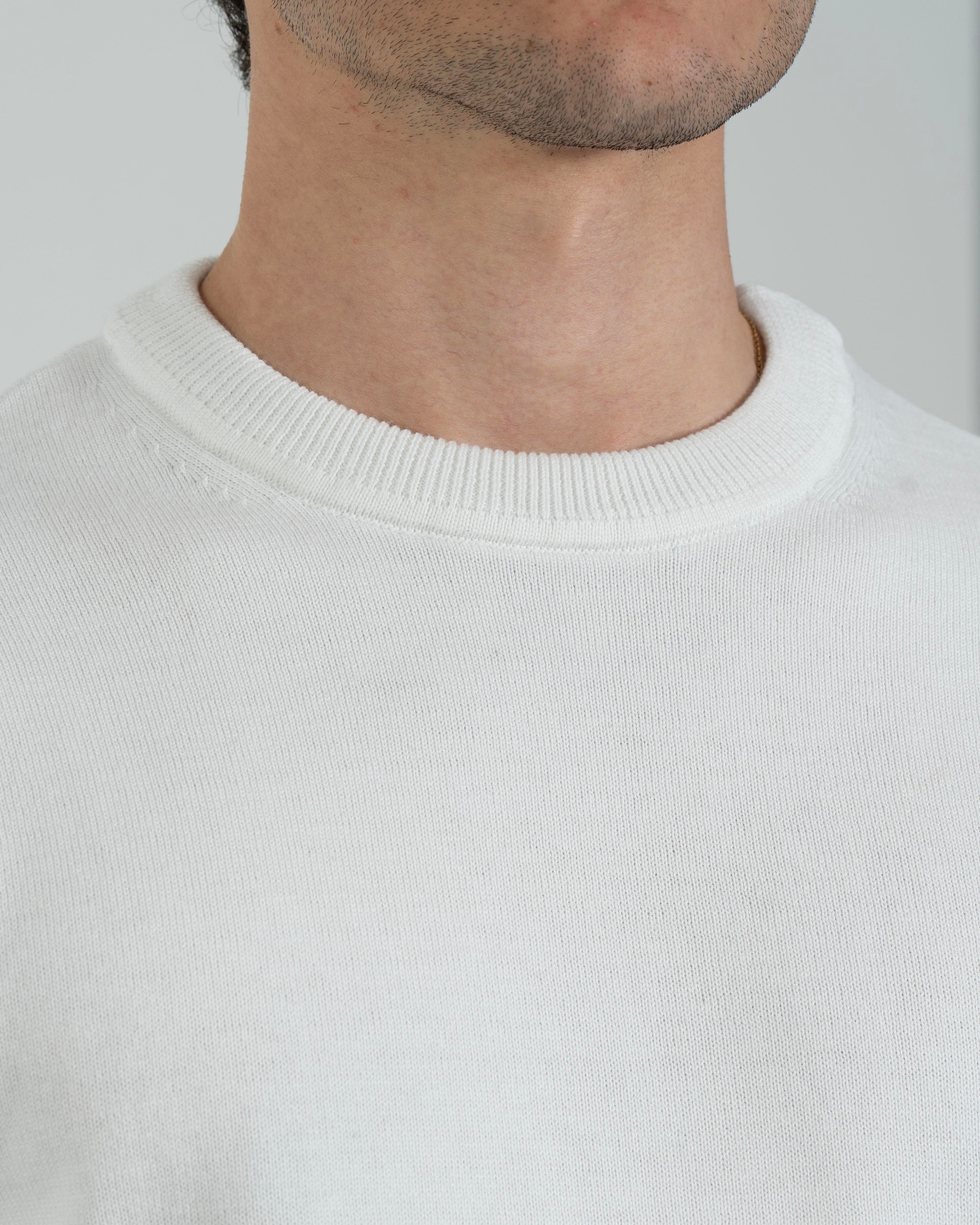 İtalyan stil slim fit erkek bisiklet yaka triko kazak ekru T13119