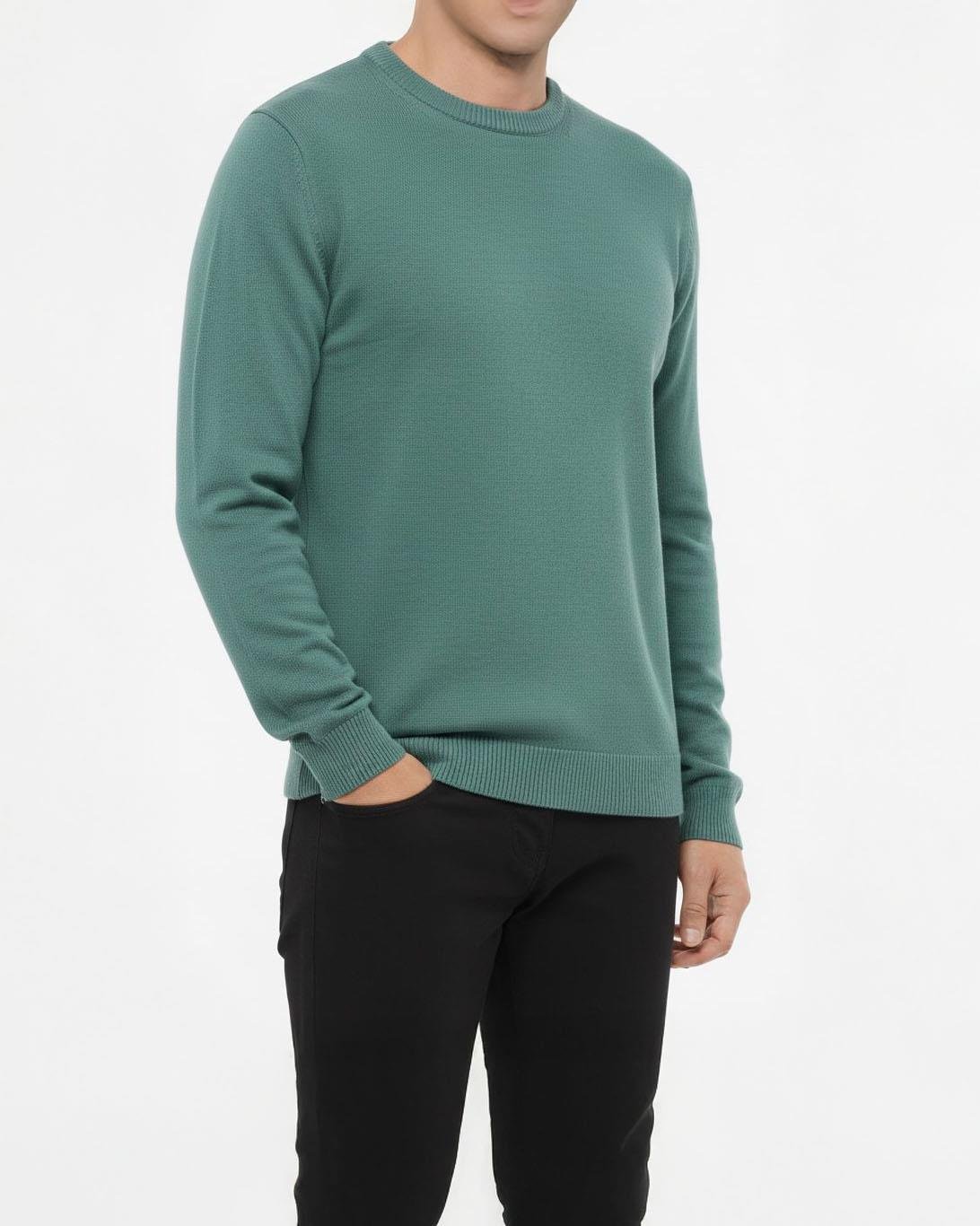 İtalyan stil slim fit erkek bisiklet yaka triko kazak yeşil T13128