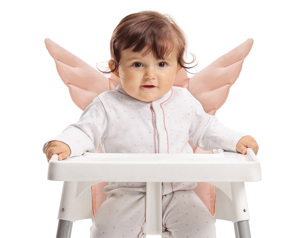 Wellgro Ergocha Çalısşma Masalı  Beyaz Mama Sandalyesi - Angel Wings Pudra Pedli