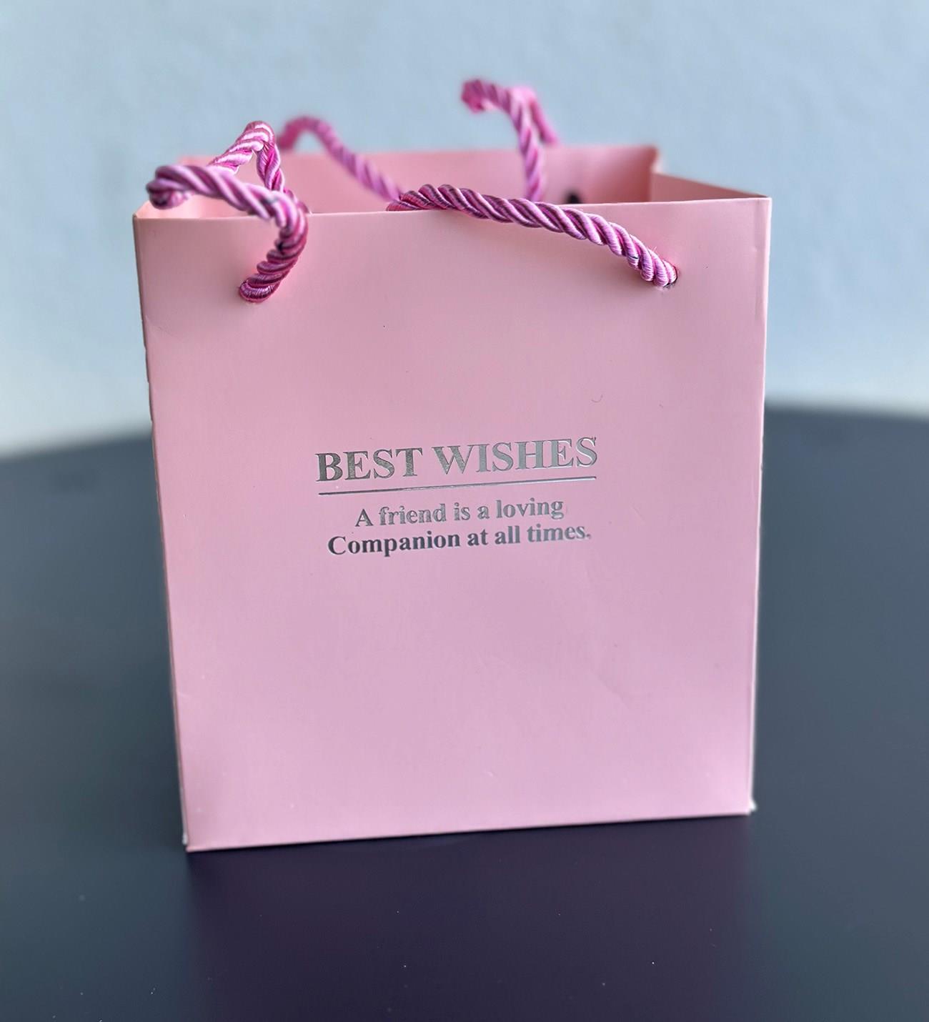 Premium Kutuda Kolye Hediyeli Gül Takı Kutusu - PEMBE