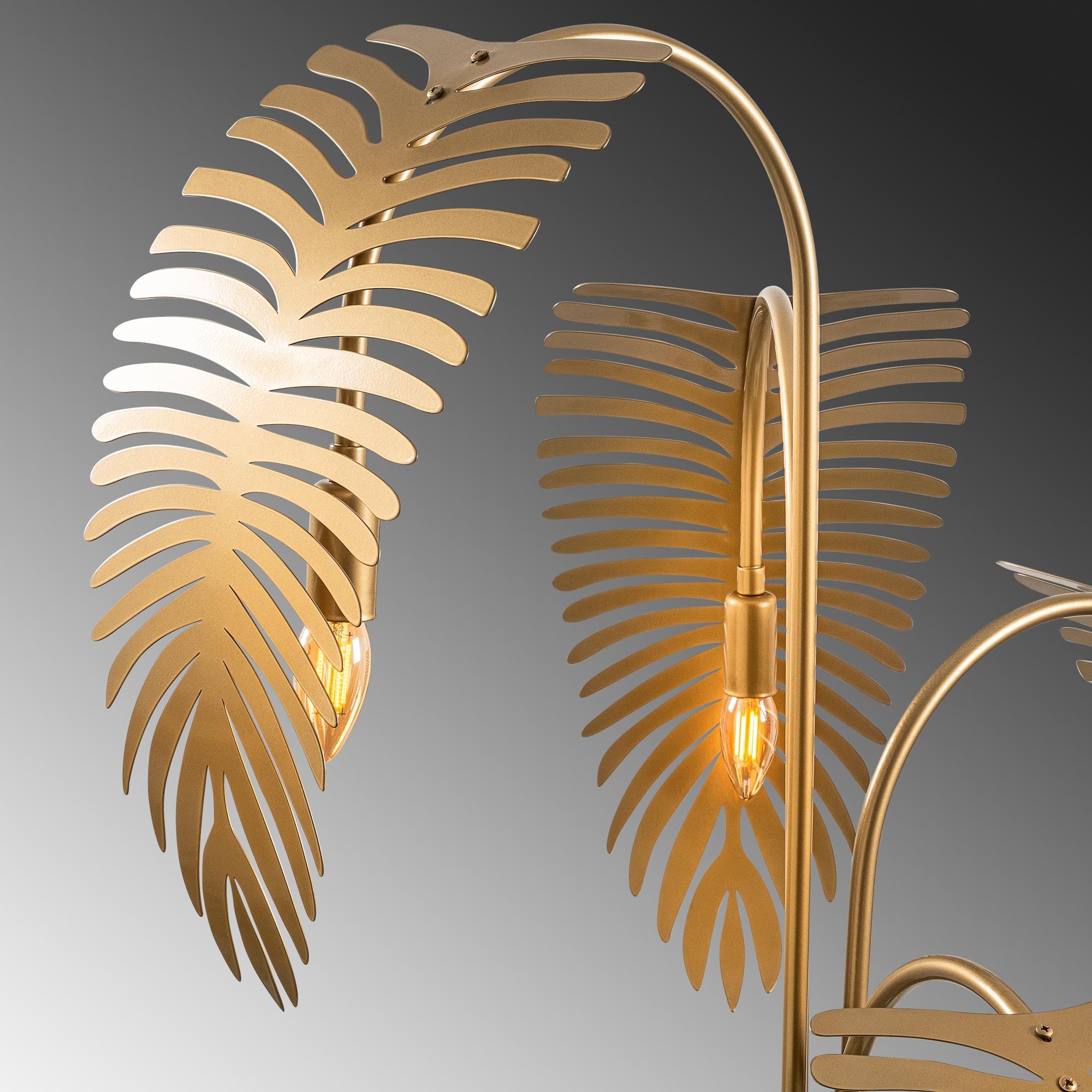 PALM-13925, PALM LAMBADER
