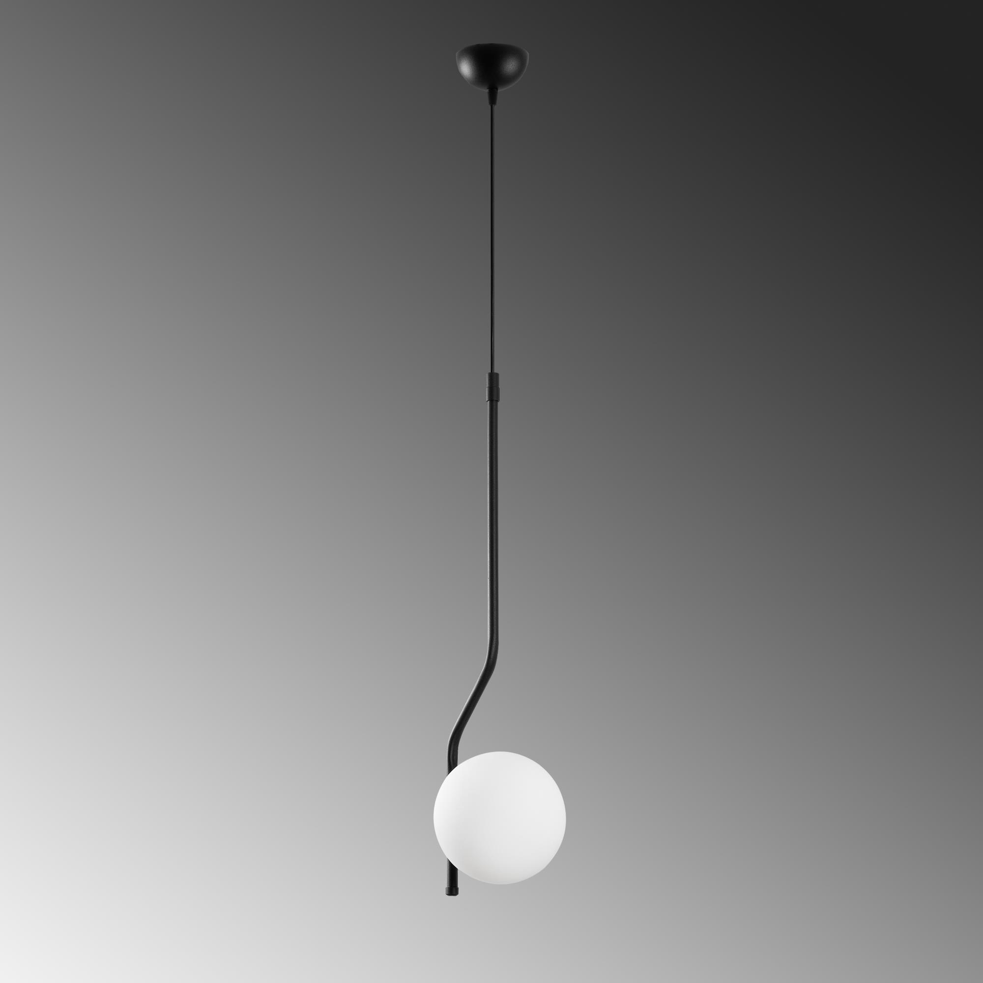 TULIP-13818, CAMLI TEKLİ  SARKIT