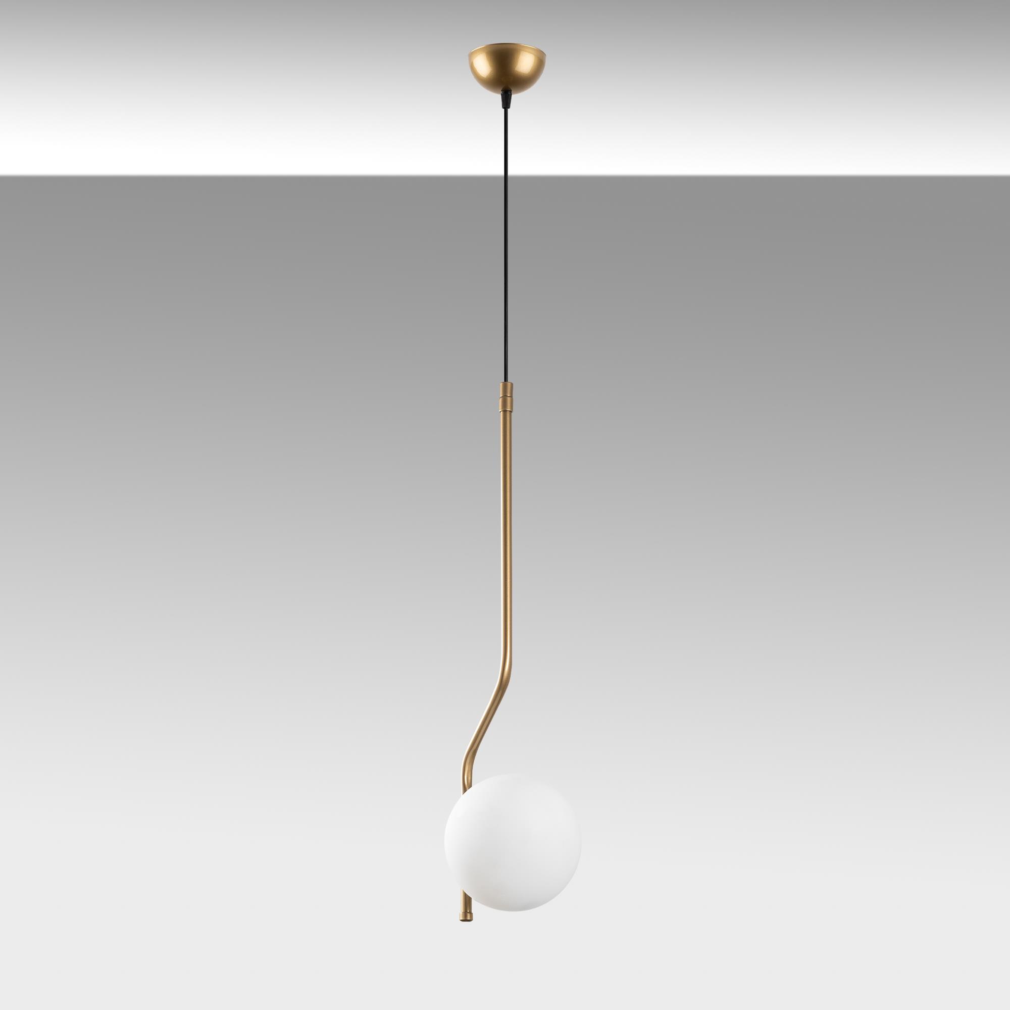 TULIP-13819, CAMLI TEKLİ  SARKIT