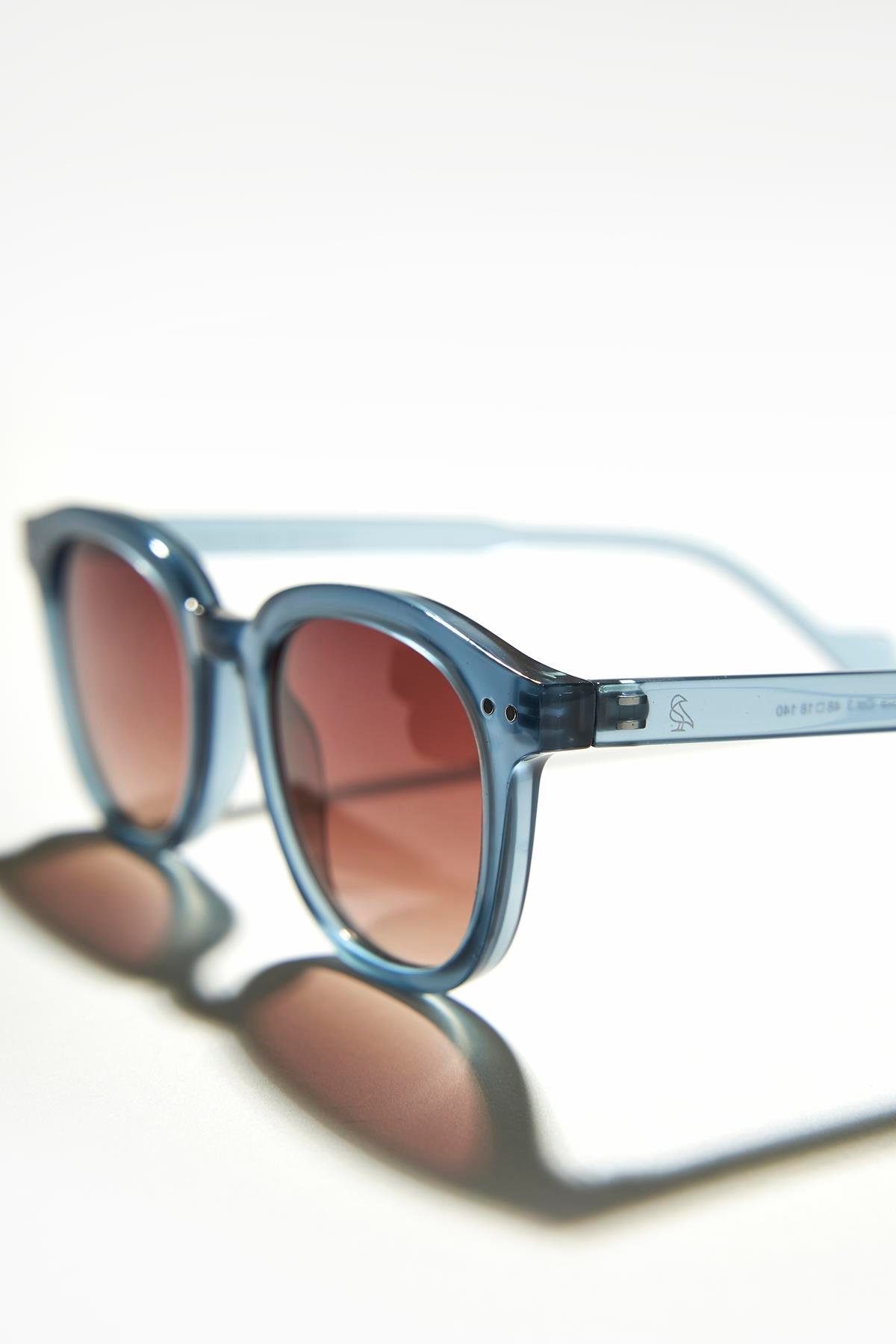 Nova Blue Brown Degrade Erkek Güneş Gözlüğü