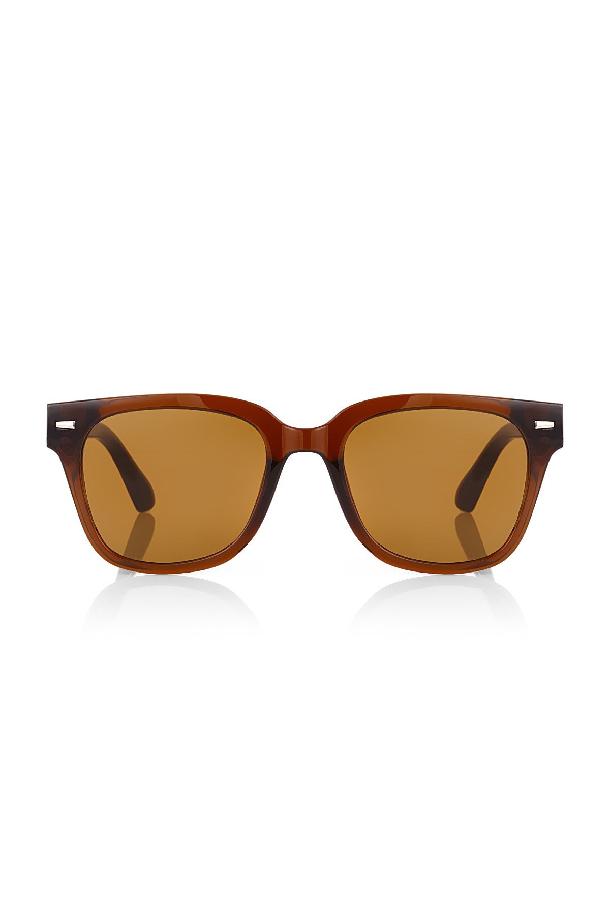 Tabbart Brown Brown Güneş Gözlüğü