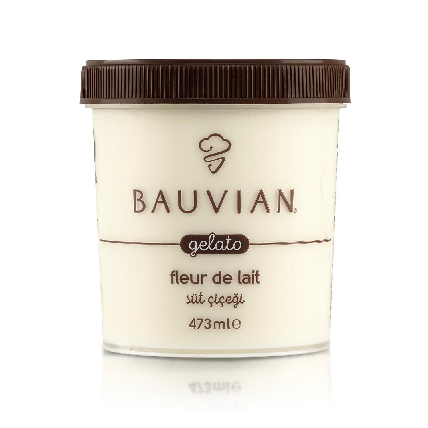 BAUVIAN SÜTLÜ DOUBLE KAYMAKLI DONDURMA 473ML