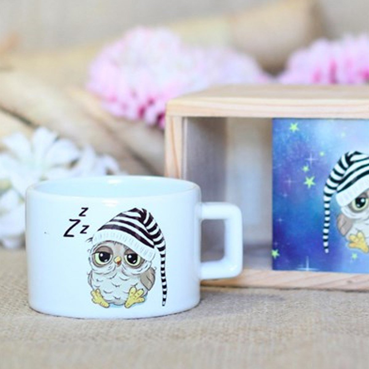 Ahşap Kutusunda Sevimli Baykuş Kupa BardakMarkasızGM00003