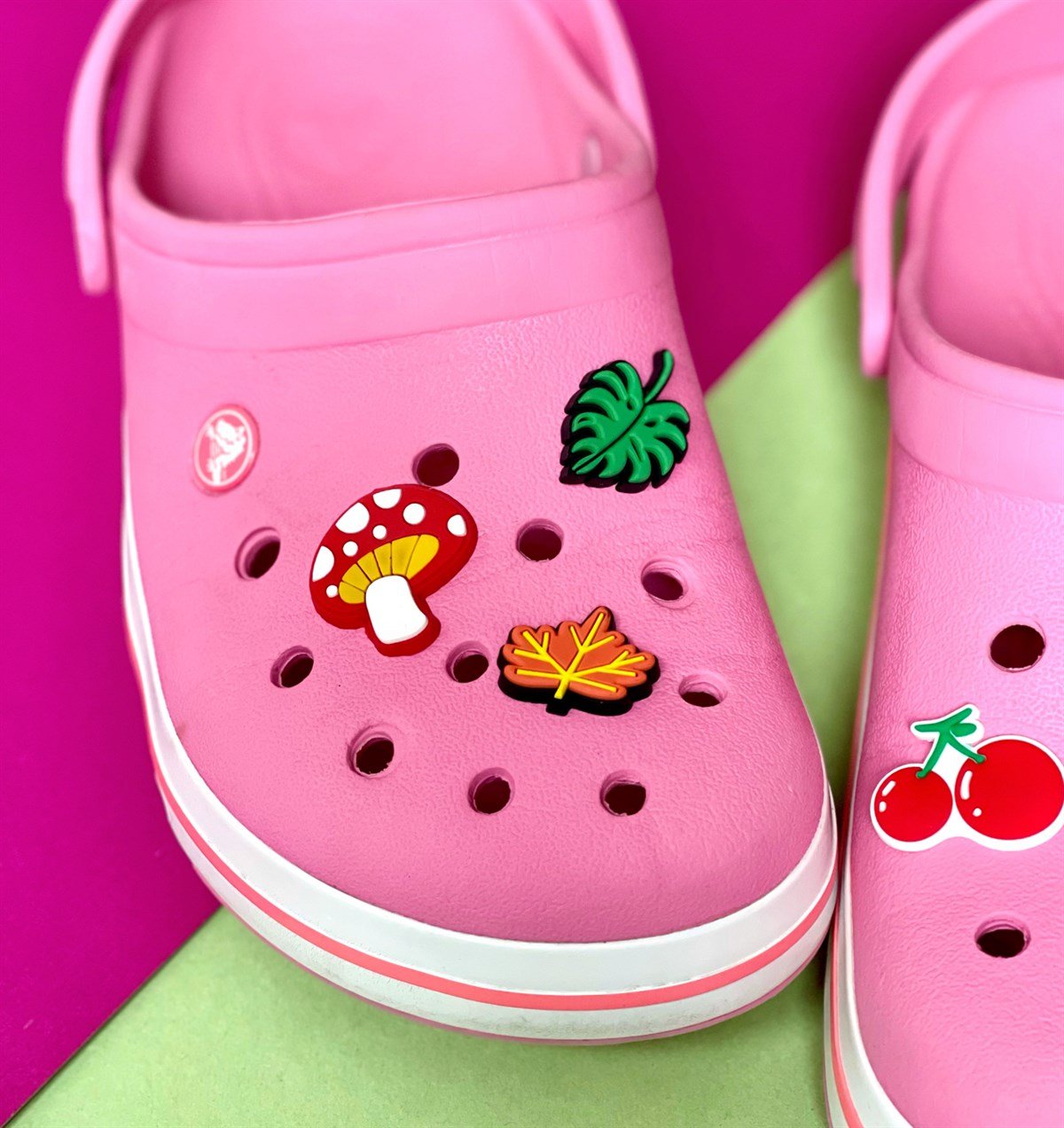 Crocs Jibbitz Terlik Süsü İlk Bahar Serisi 6'lı GiftmodaGmjb00014