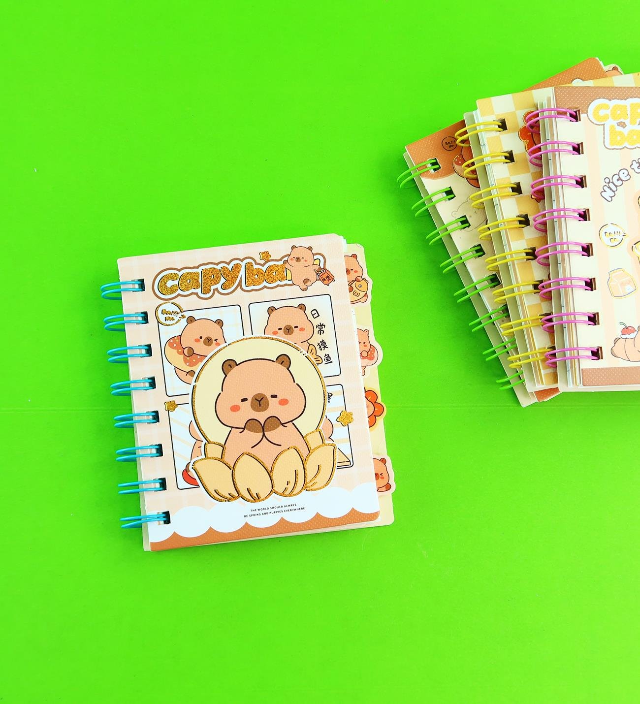 Capybara 4 Bölmeli Çizgili Defter - BM-1878giftmodaBM-1878