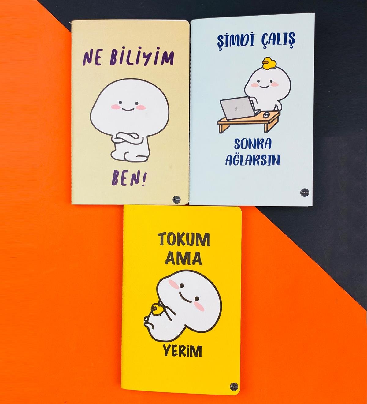 3'lü Dikişli Defter Seti Seri :8giftmodaGmd100569