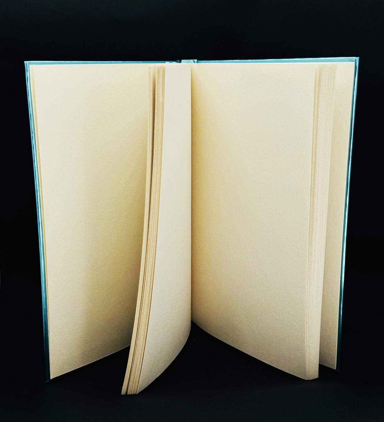 Van Gogh Yıldızlı Gece Tasarımlı Metal Kapaklı Lastikli DeftergiftmodaBAM-1195