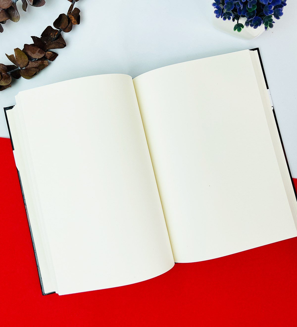 China Saw Anime Tasarımlı Lastikli DeftergiftmodaGmd100233