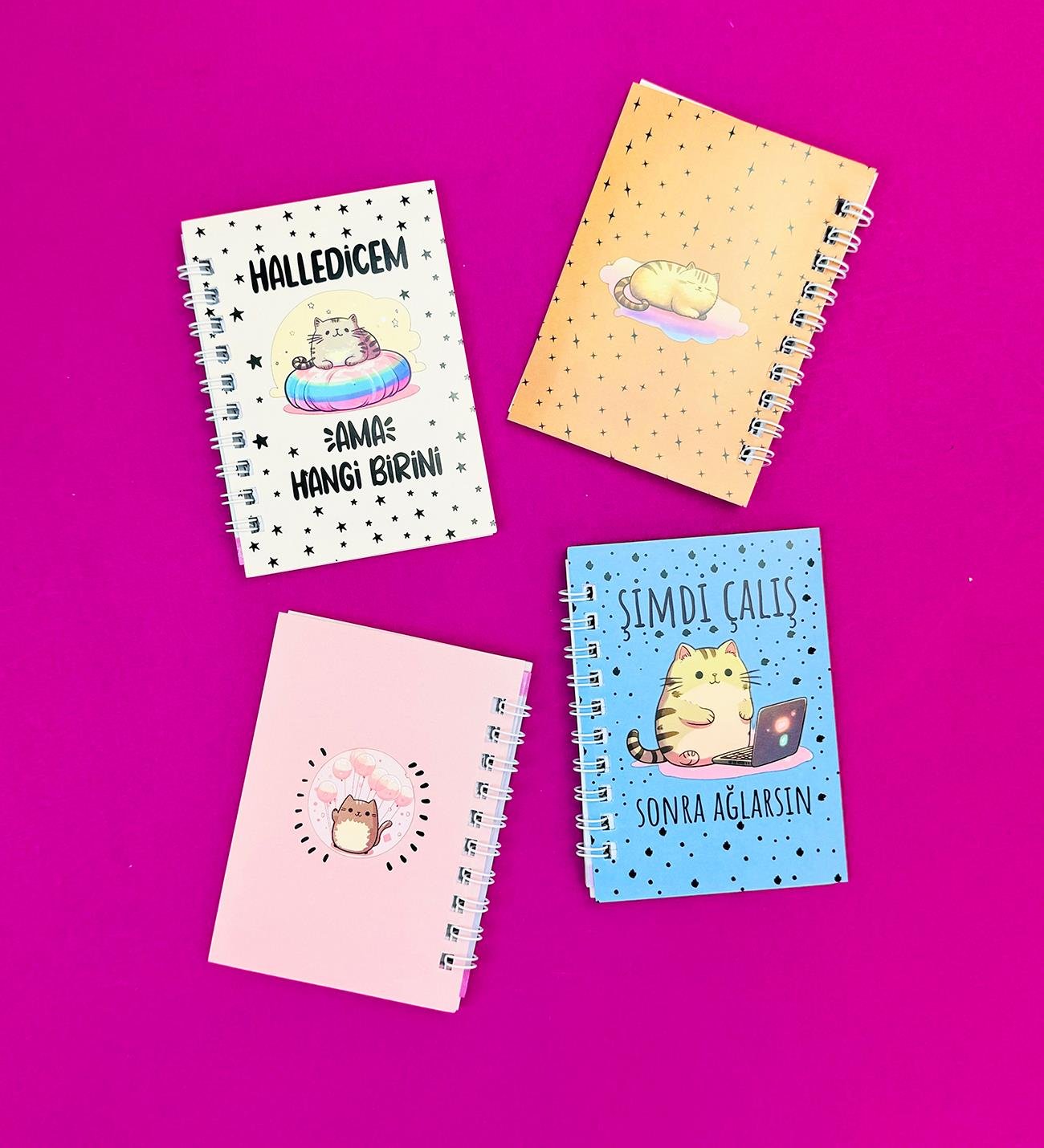 Mini 4'lü Kedili Spiralli Defter giftmodaBM-1249