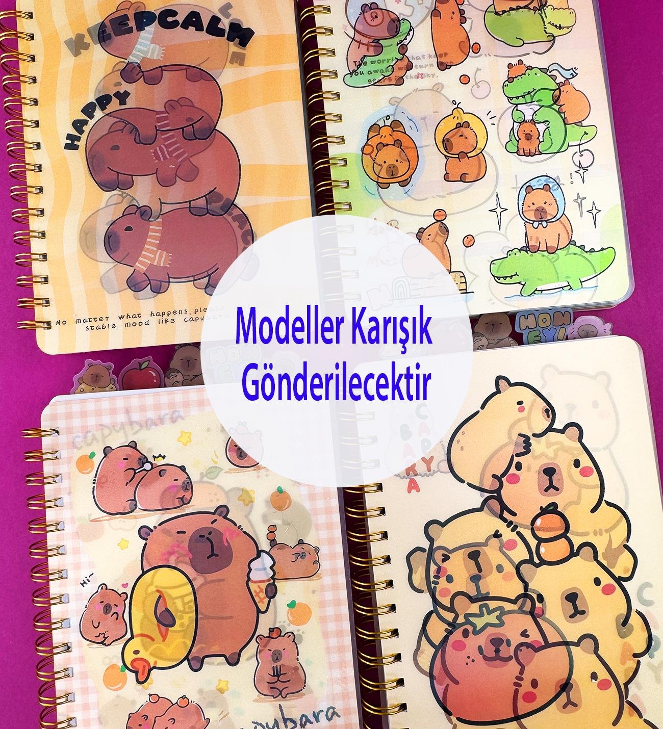 Capybara Hologram Kapaklı 5 Bölmeli DeftergiftmodaBM-1525A