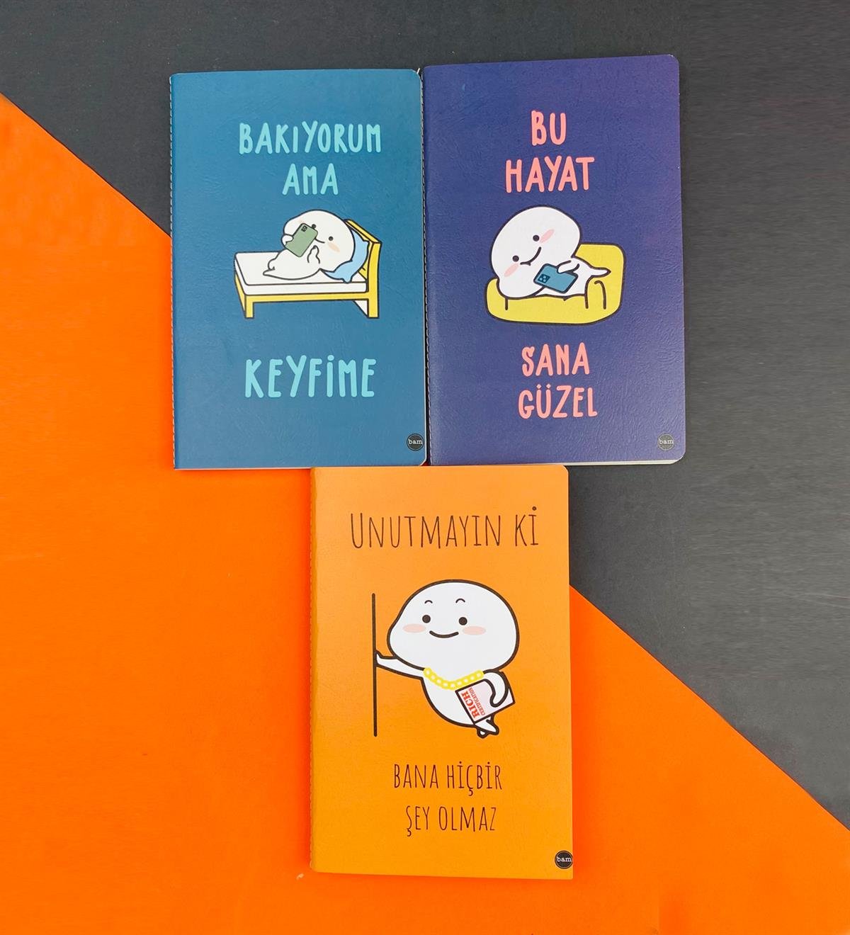 3'lü Dikişli Defter Seti Seri :10giftmodaGmd100571