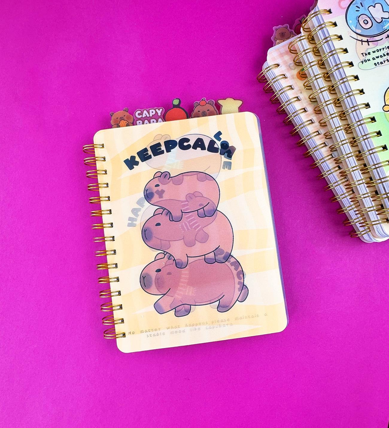 Capybara Hologram Kapaklı 5 Bölmeli DeftergiftmodaBM-1525A
