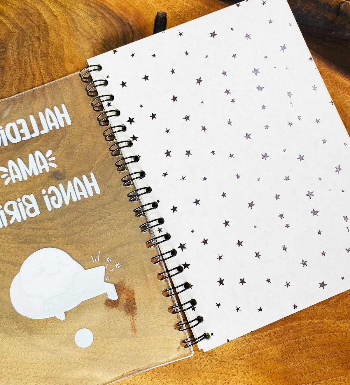 Halledicem Ama Hangi Birini Tasarımlı Çanta Kapaklı Spiralli DeftergiftmodaGmd100334