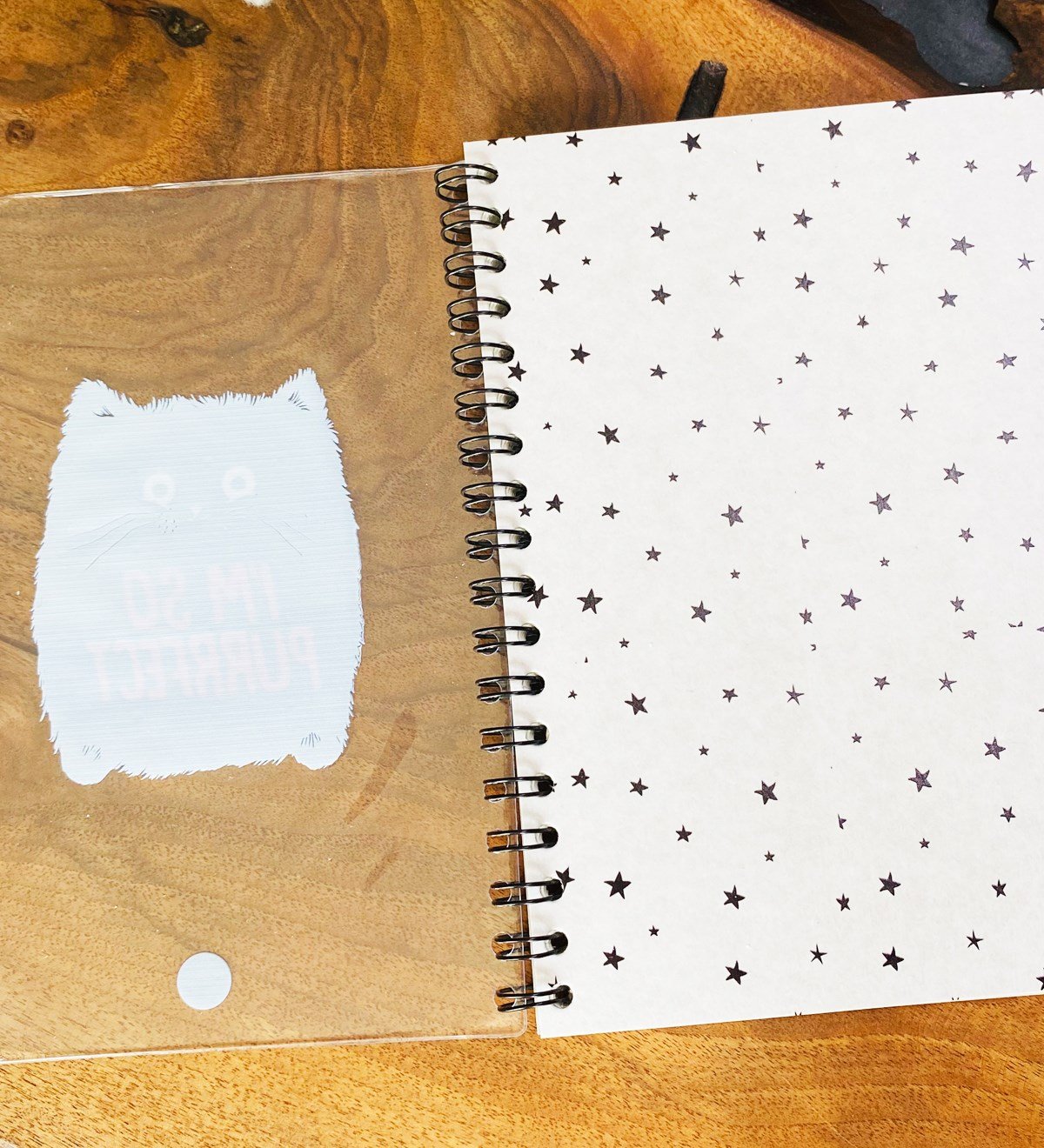 I'm So Purrfect Tasarımlı Çanta Kapaklı Spiralli DeftergiftmodaGmd100327