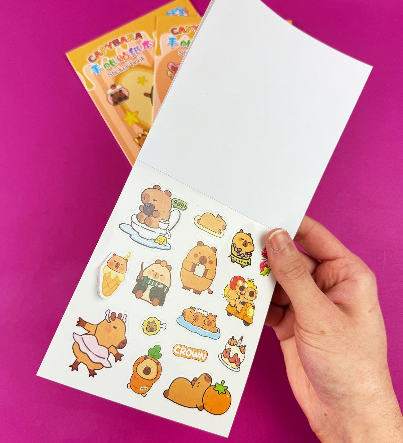 3'lü Capybara Sticker BookgiftmodaBM-1513