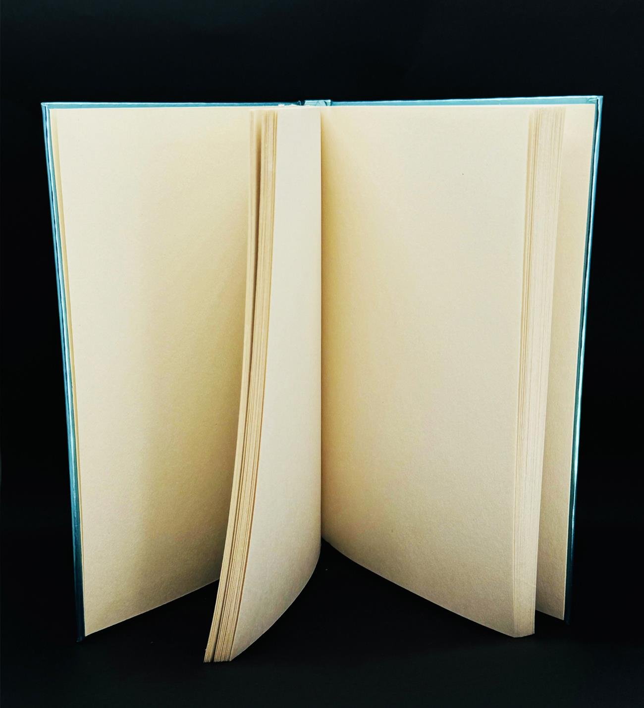 Yaşıyosun Bu Hayatı Tasarımlı Metal Kapaklı Lastikli DeftergiftmodaBAM-1190