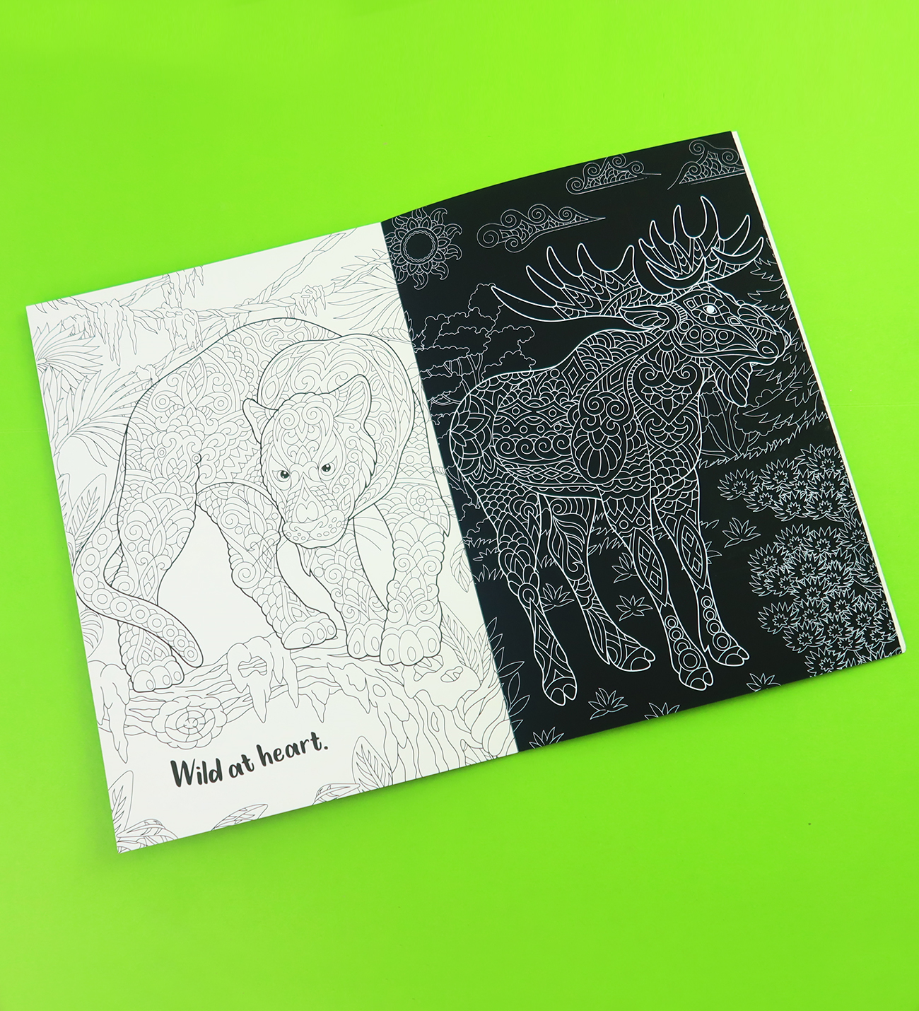 Scratch Art Creations Amazing Animals – Kazımalı Boyama ve Karalama Defteri + Ahşap KalemgiftmodaBM-2153