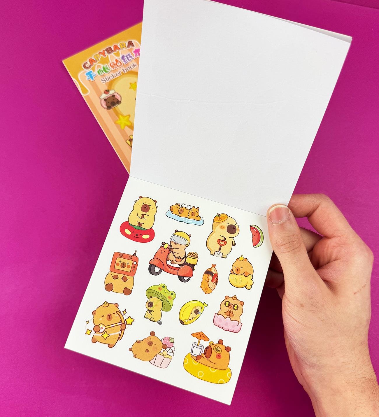 3'lü Capybara Sticker BookgiftmodaBM-1513