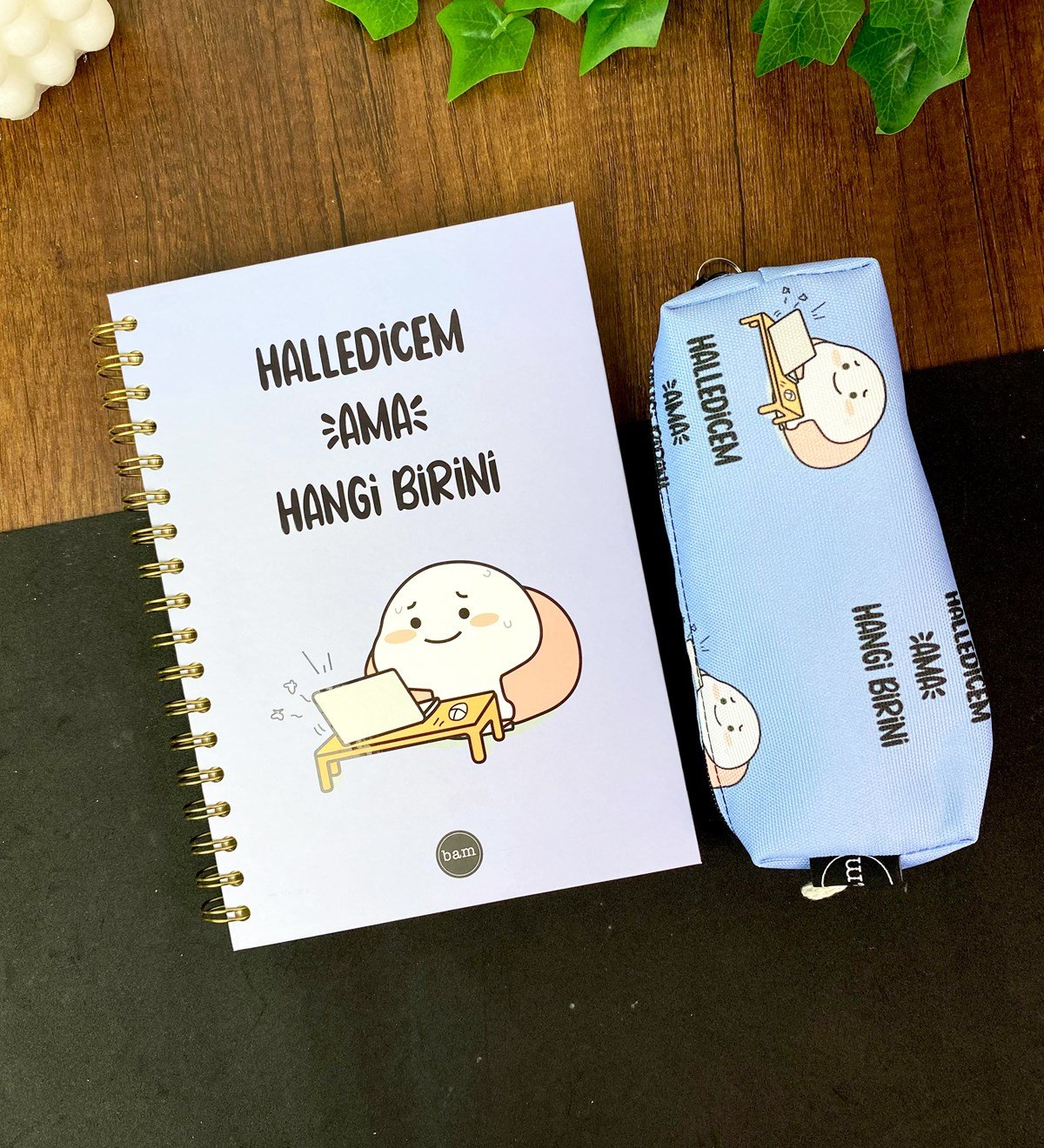 Halledicem Ama Hangi Birini Tasarımlı Çizgili Spiralli Defter Ve Sosis Kalemlik SetgiftmodaGmhs101787