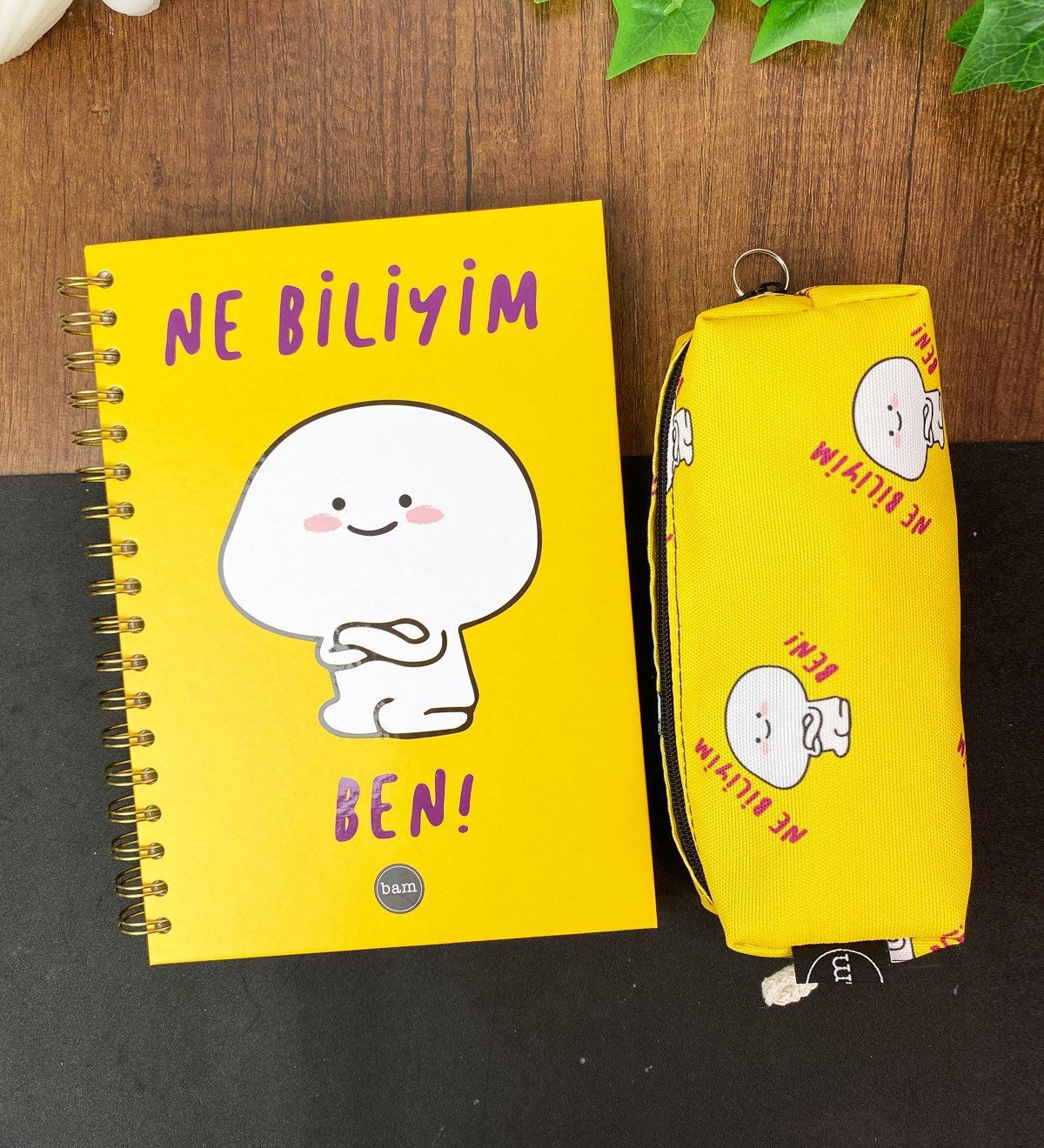 Ne Biliyim Ben Tasarımlı Çizgili Spiralli Defter Ve Sosis Kalemlik SetgiftmodaGmhs101784