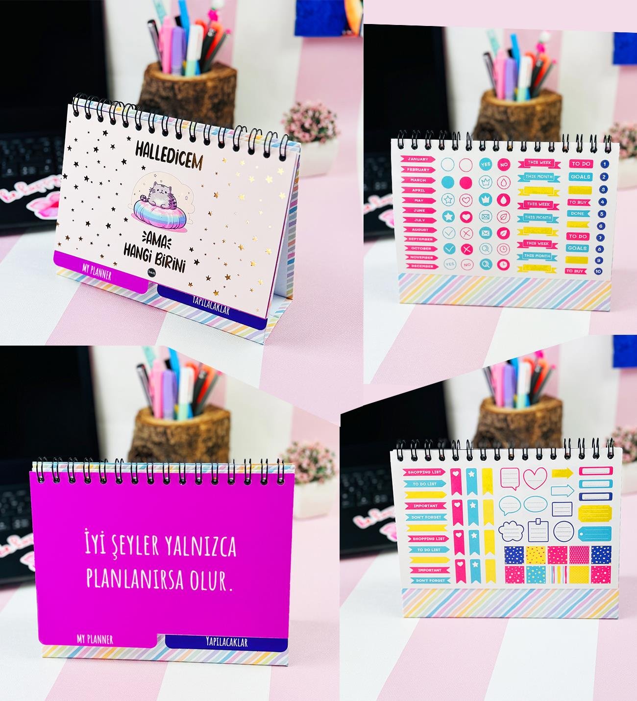 Halledicem Ama Hangi Birini Konuşan Ajanda Masa Üsü Planner Ve Metalik Defter SetgiftmodaGmhs102008