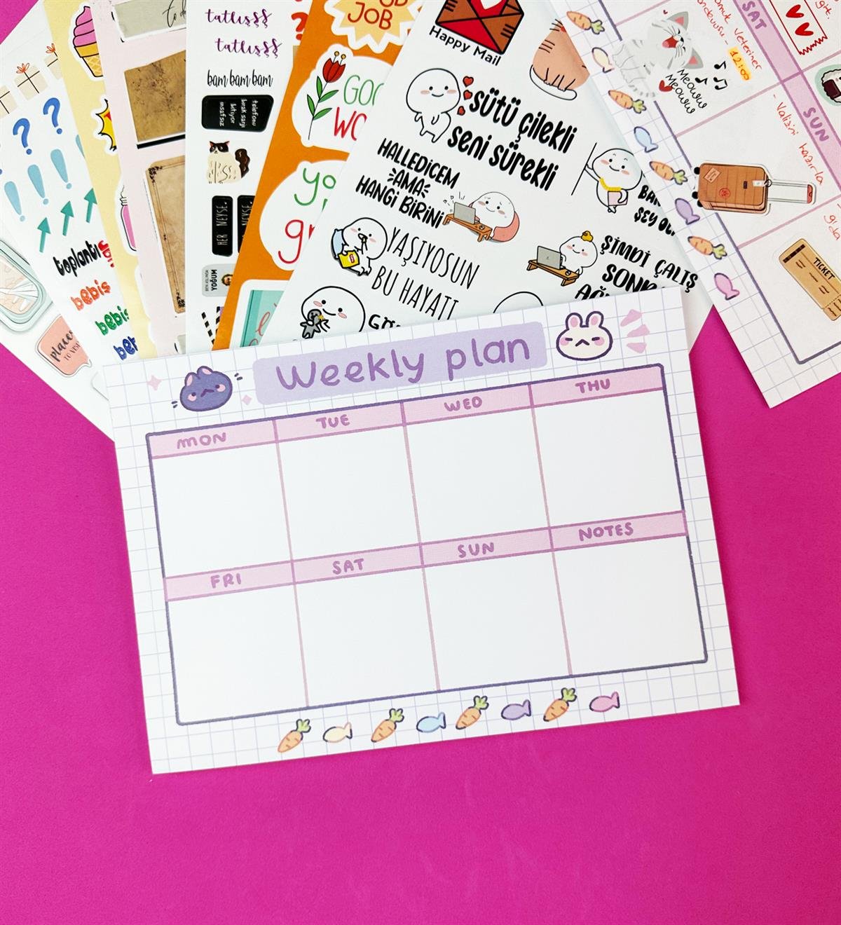 Mor Beyaz Kedi Klavye Önü Haftalık Planlayıcı Ve My DIY Sticker Kitabı SetgiftmodaGmhs101901