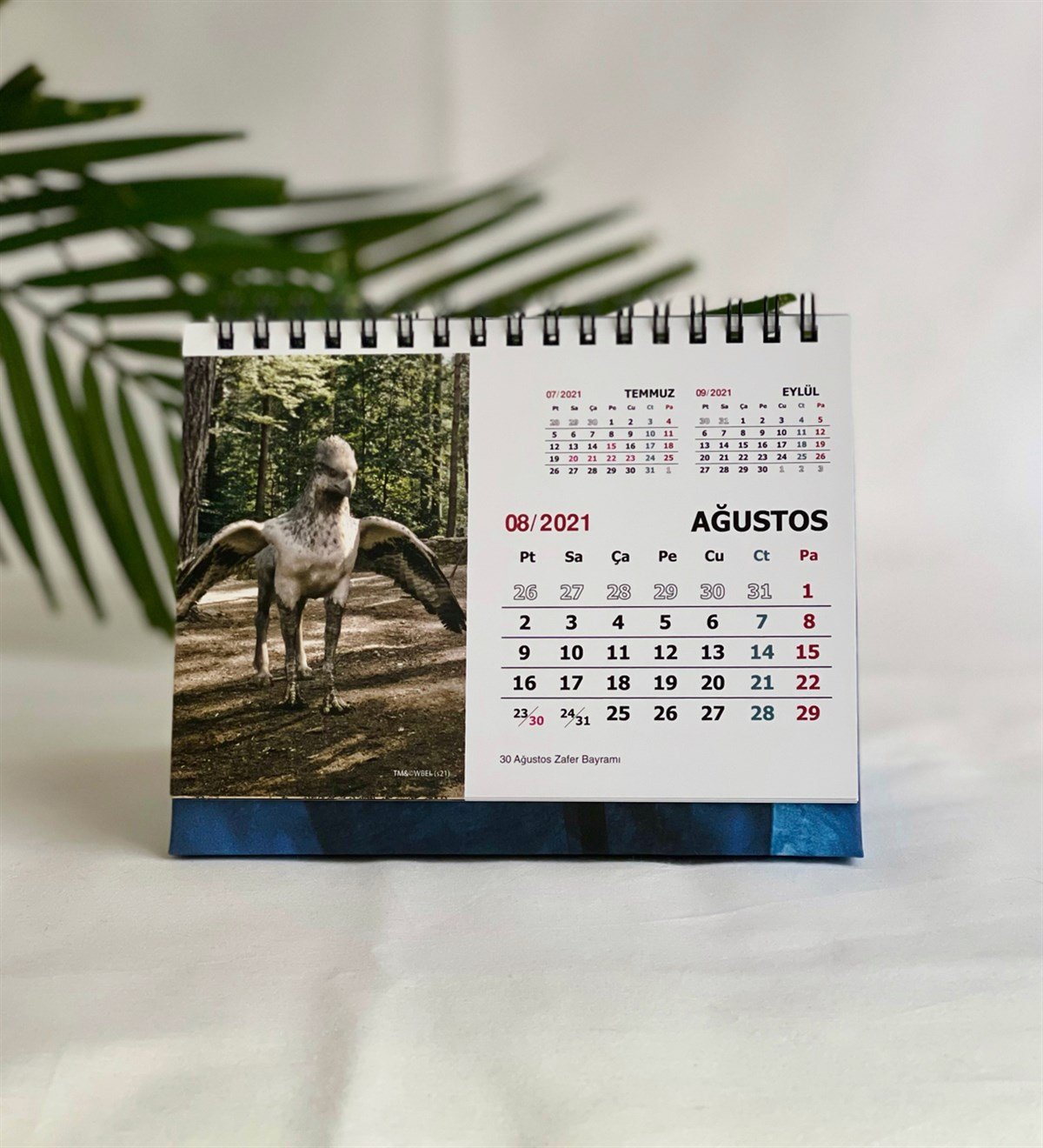 Harry Potter Lisanslı Orjinal Üçgen Azbakan Tutsağı Tasarımlı Masaüstü TakvimGiftmodaGmig000012